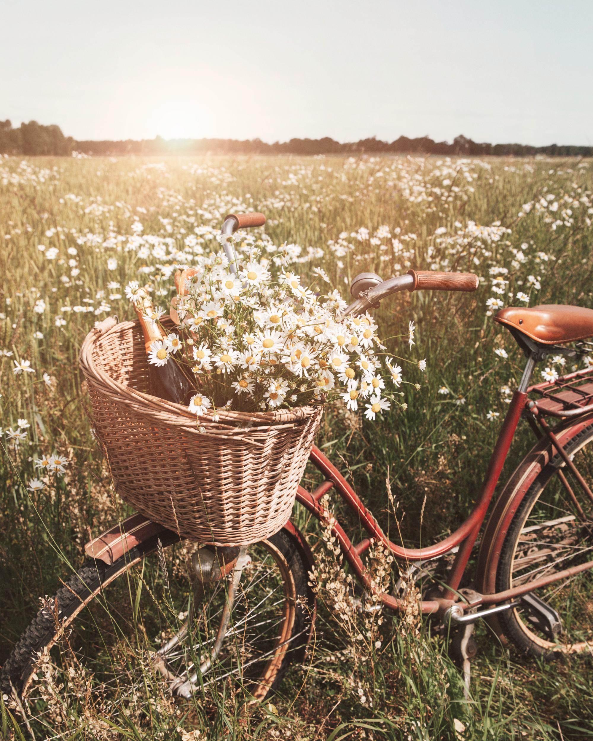 Bicycle Bliss Vintage Summer Poster | Poster Store US