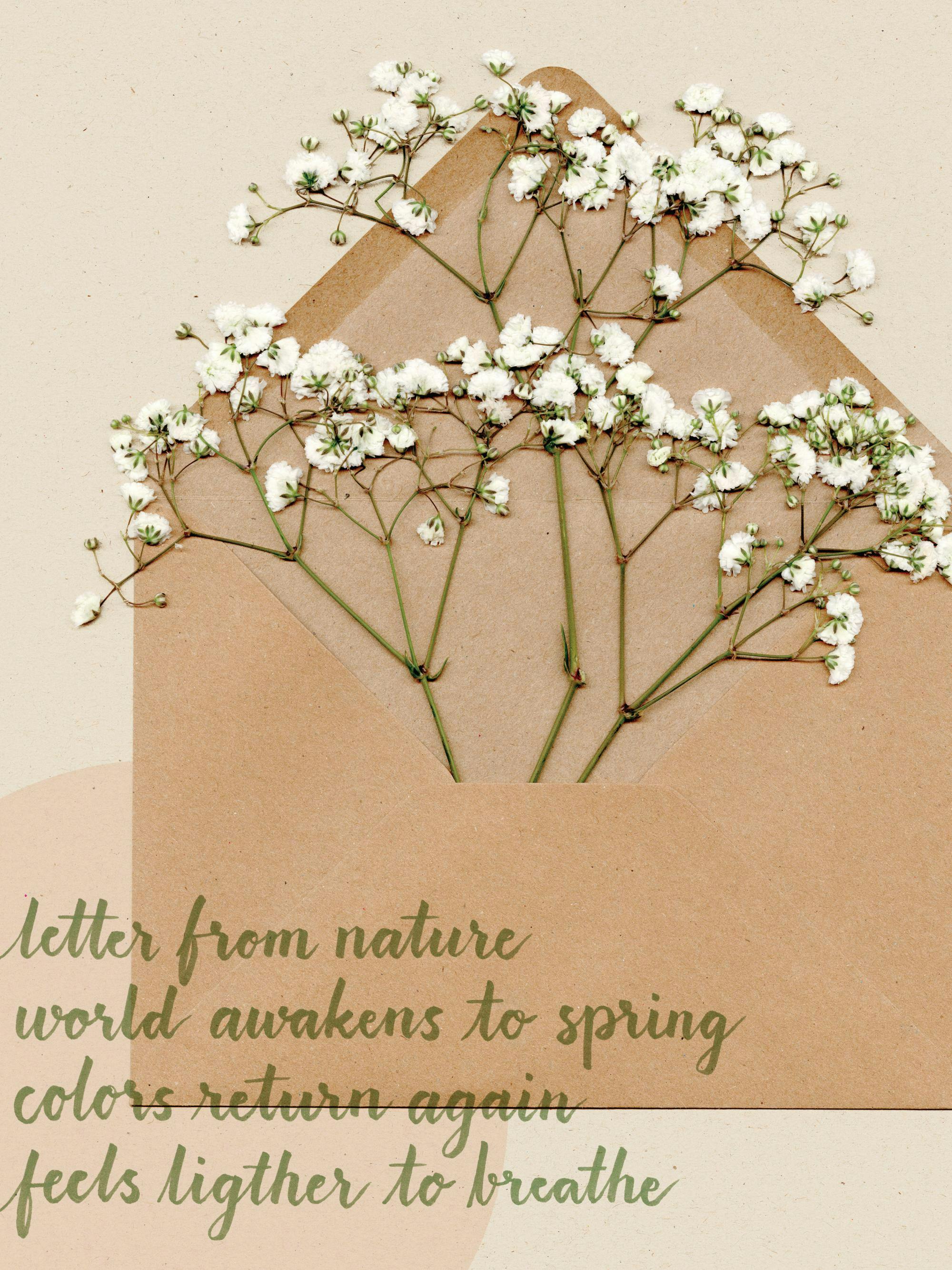 Un poster représentant des fleurs blanches de gypsophile sur une enveloppe kraft, avec un texte manuscrit vert évoquant le print