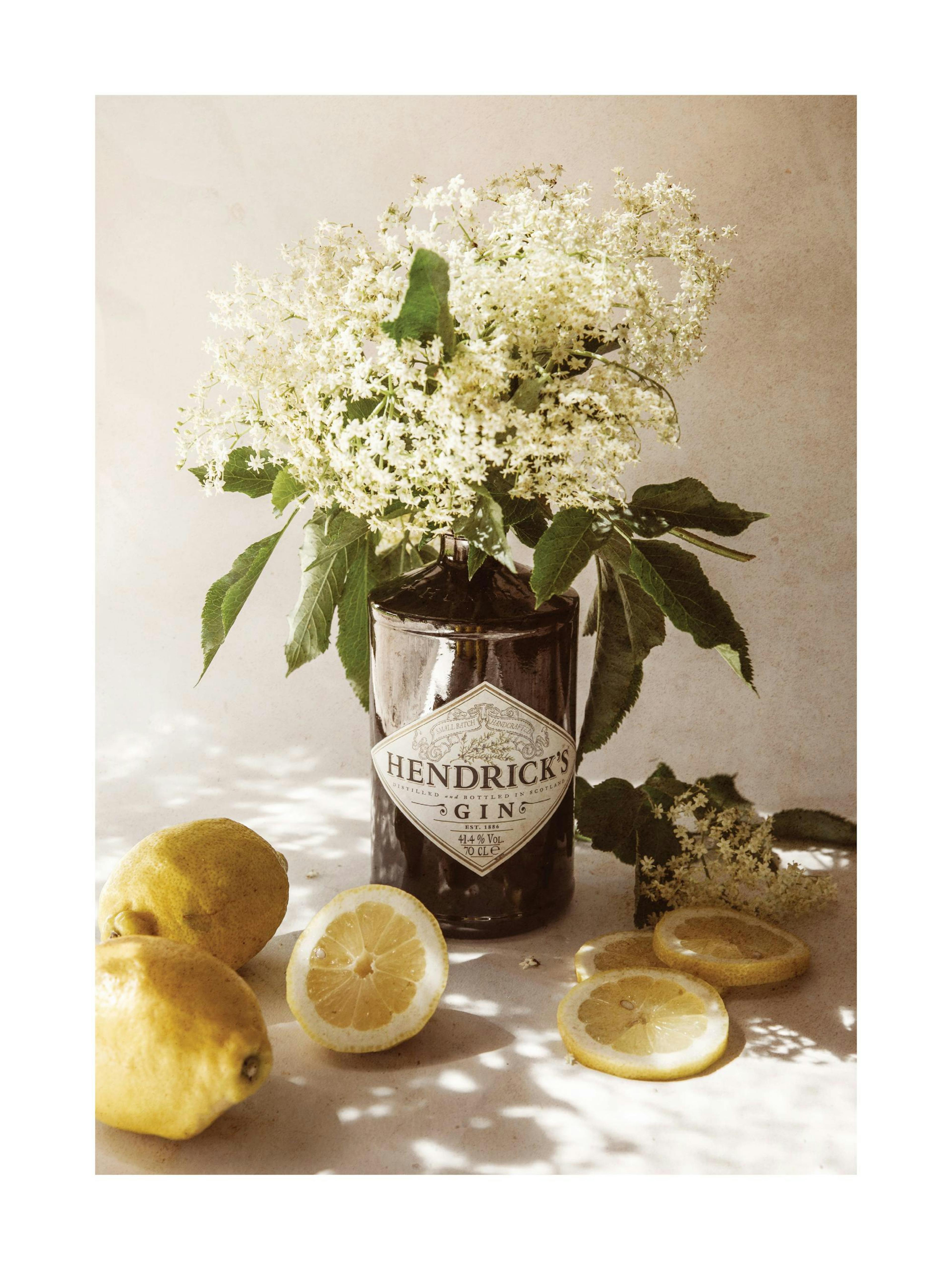 A poster featuring a bottle of Hendricks Gin with white flowers, whole lemons, and lemon slices.