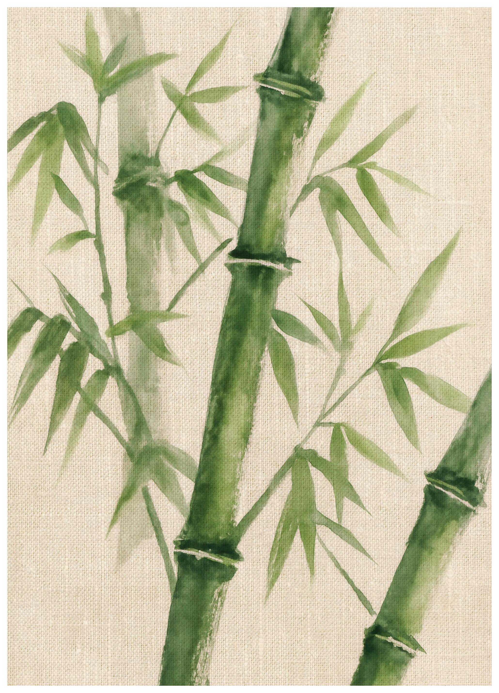 Bambu på Lin Poster (50x70 cm) - Poster Store