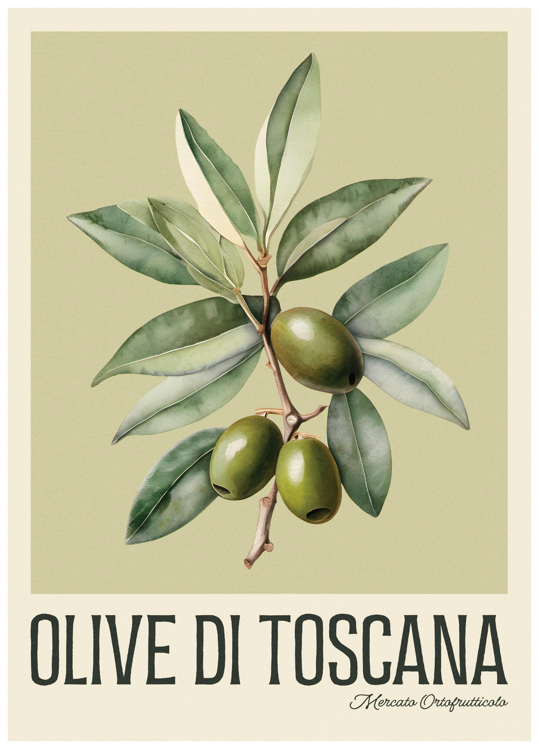 Toscaanse olijven Poster (50x70 cm) - Poster Store