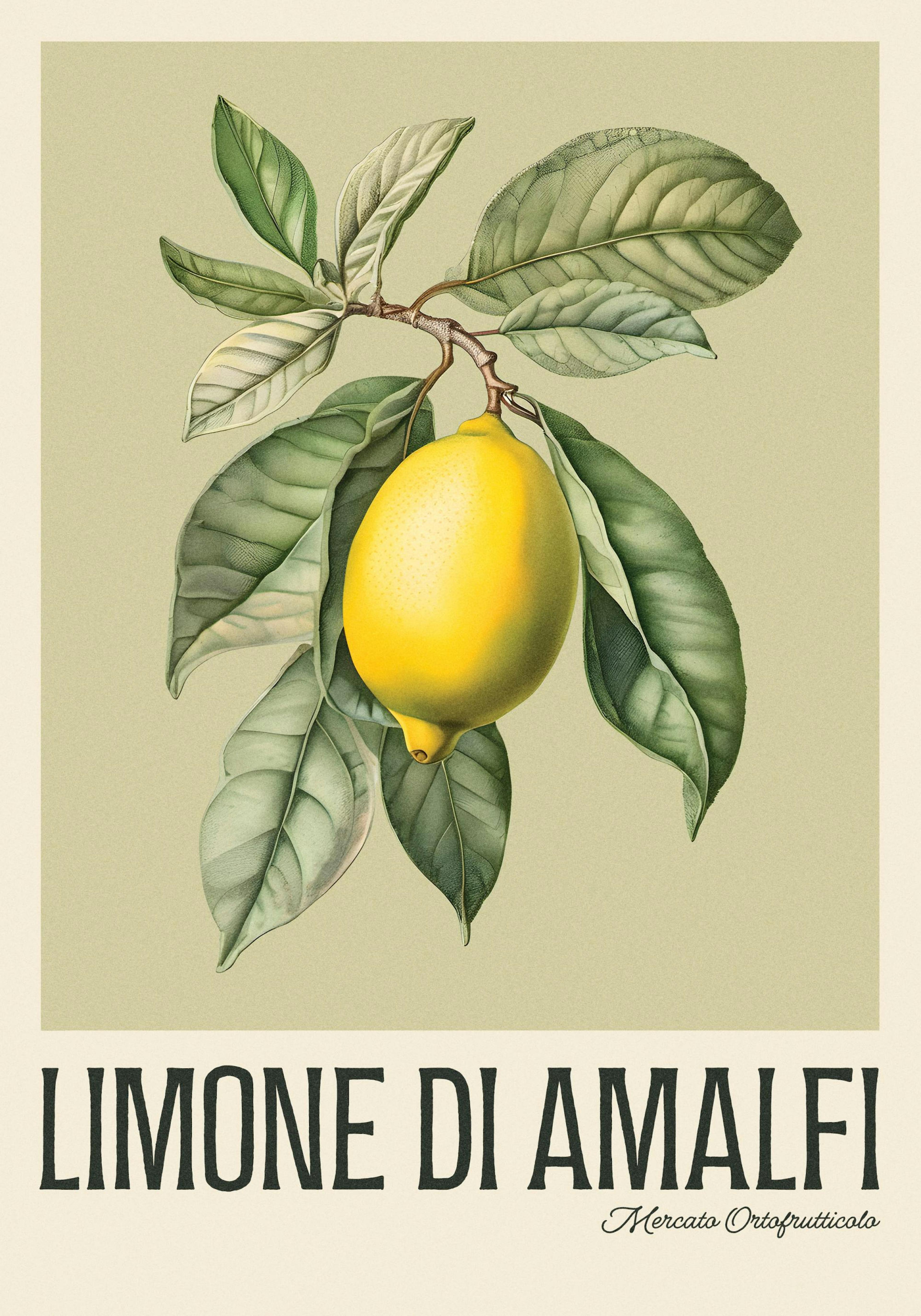 Product image: 1
