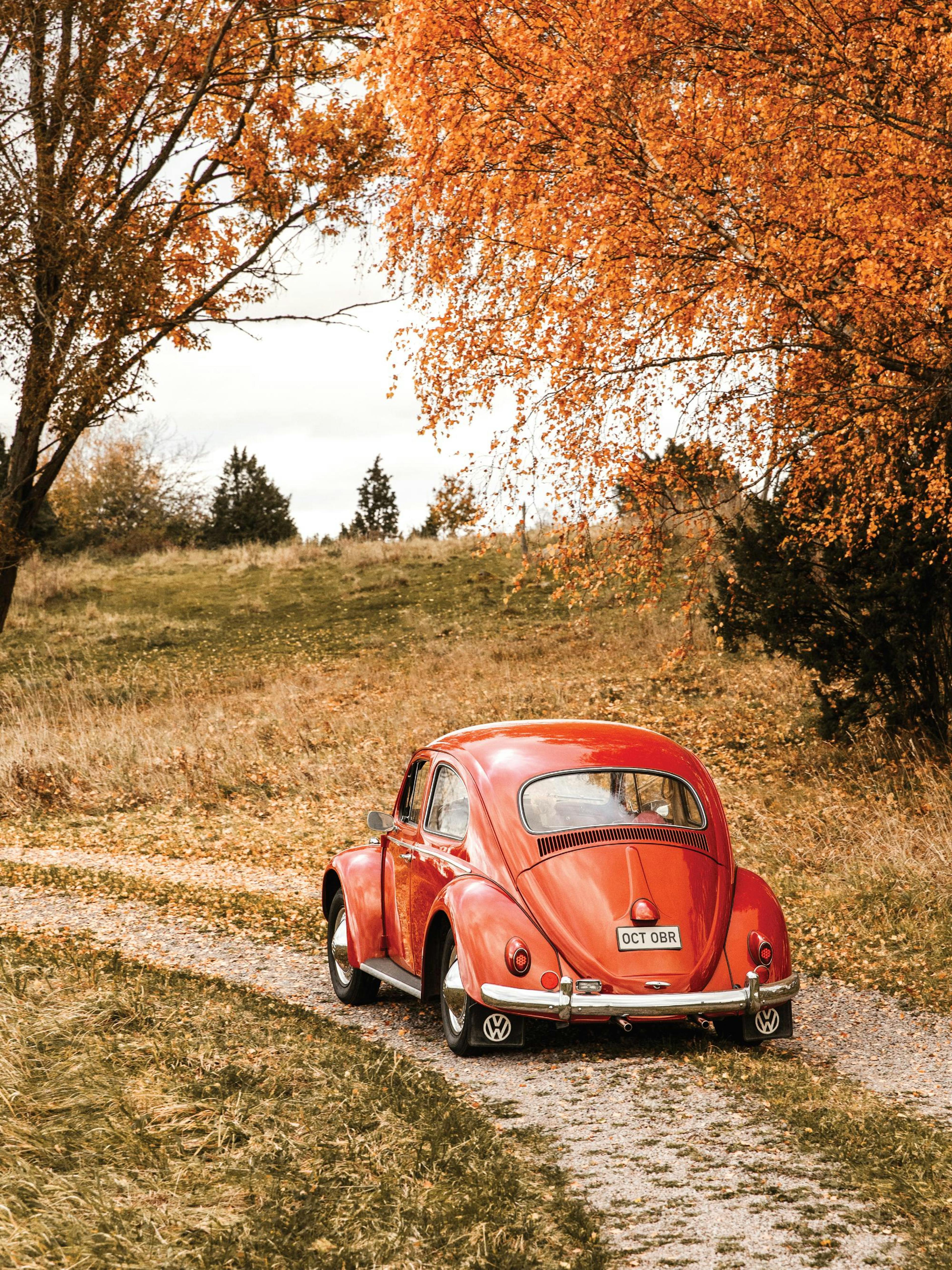 A poster featuring a vintage red Volkswagen Beetle parked on a gravel path surrounded by autumn trees with orange leaves.