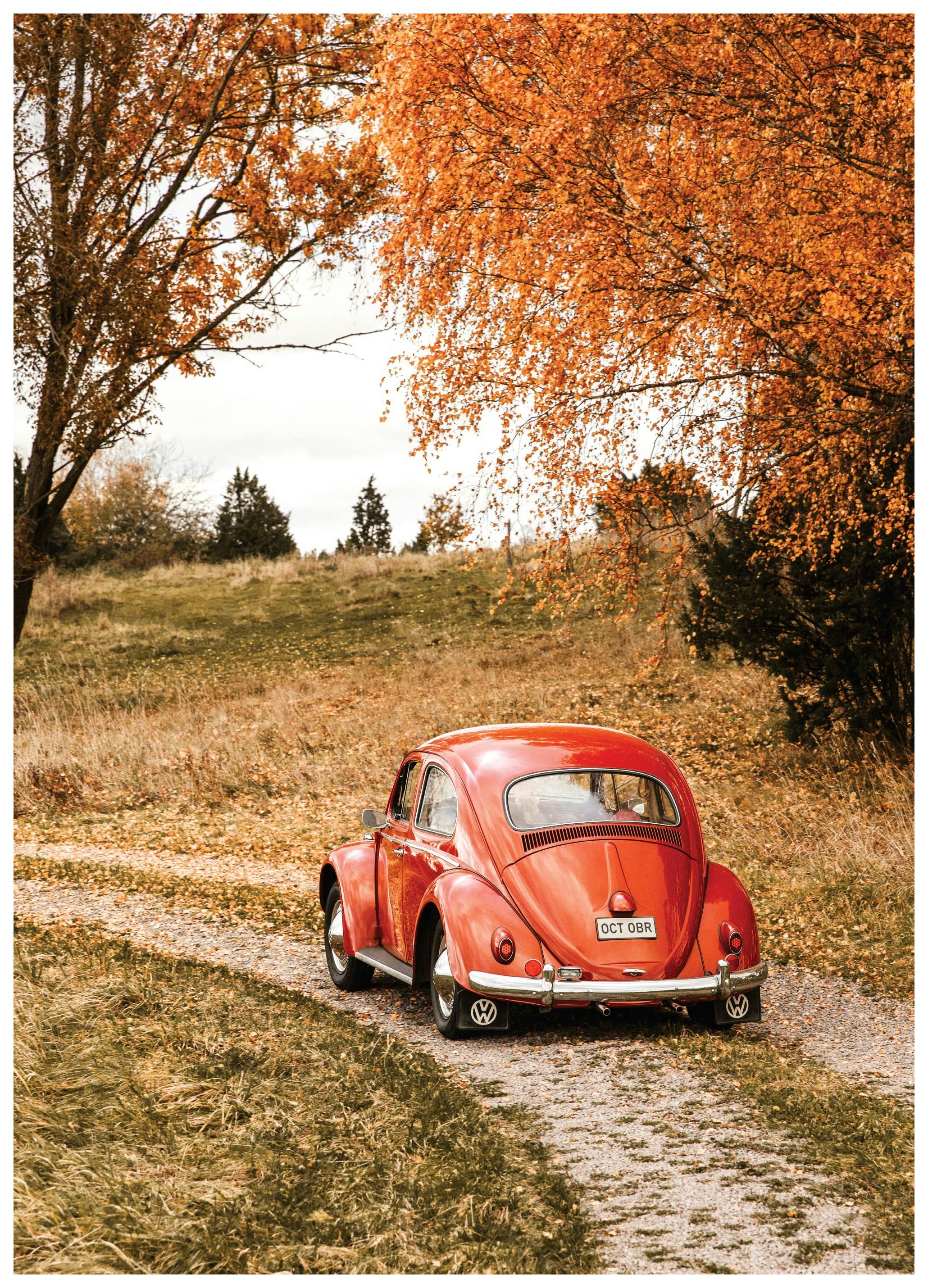 Autumn Ride Poster (40x50 cm) - Poster Store