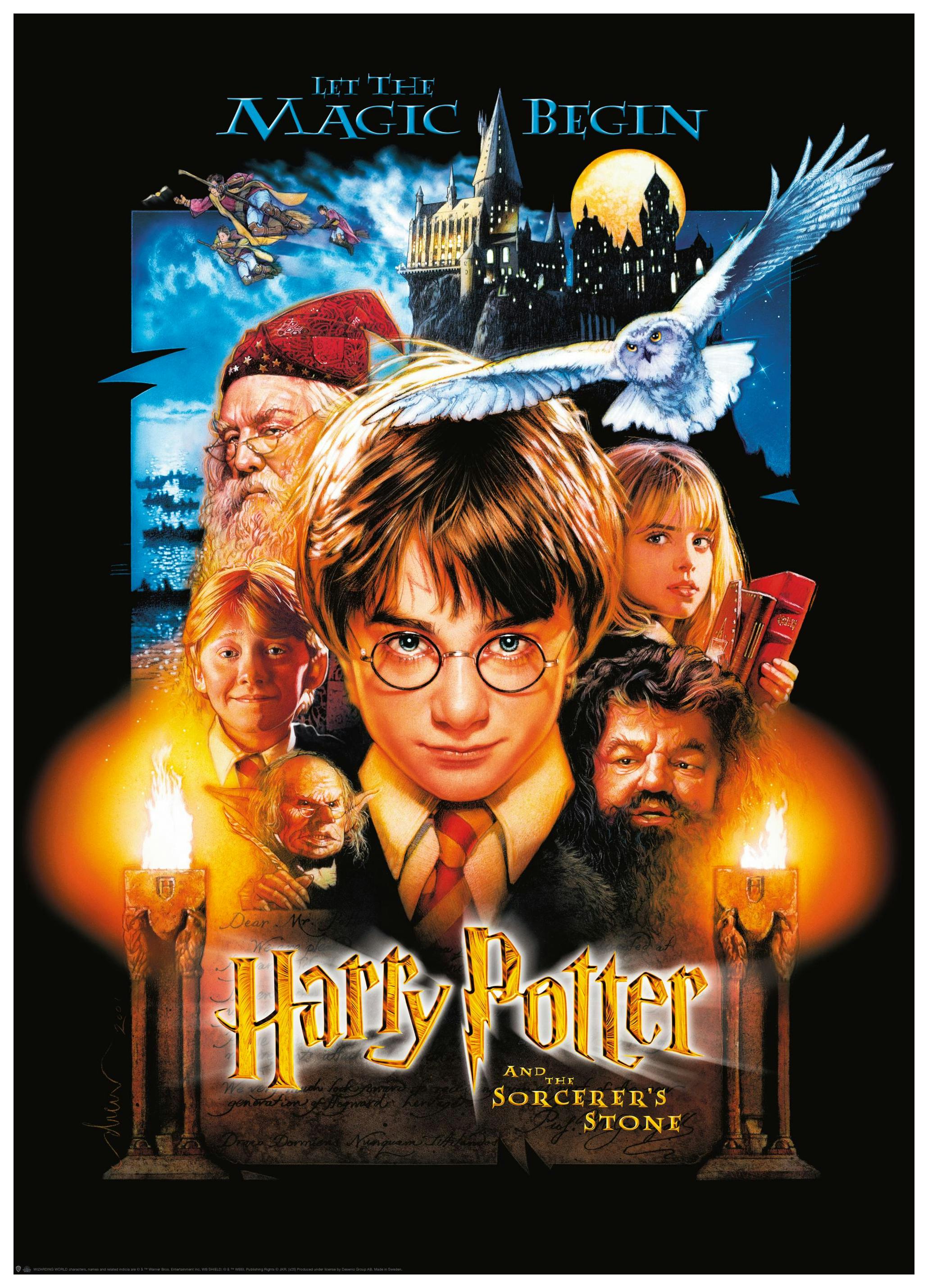 Harry Potter™ - Sorcerer's Stone Affiche (50x70 cm) - Poster Store