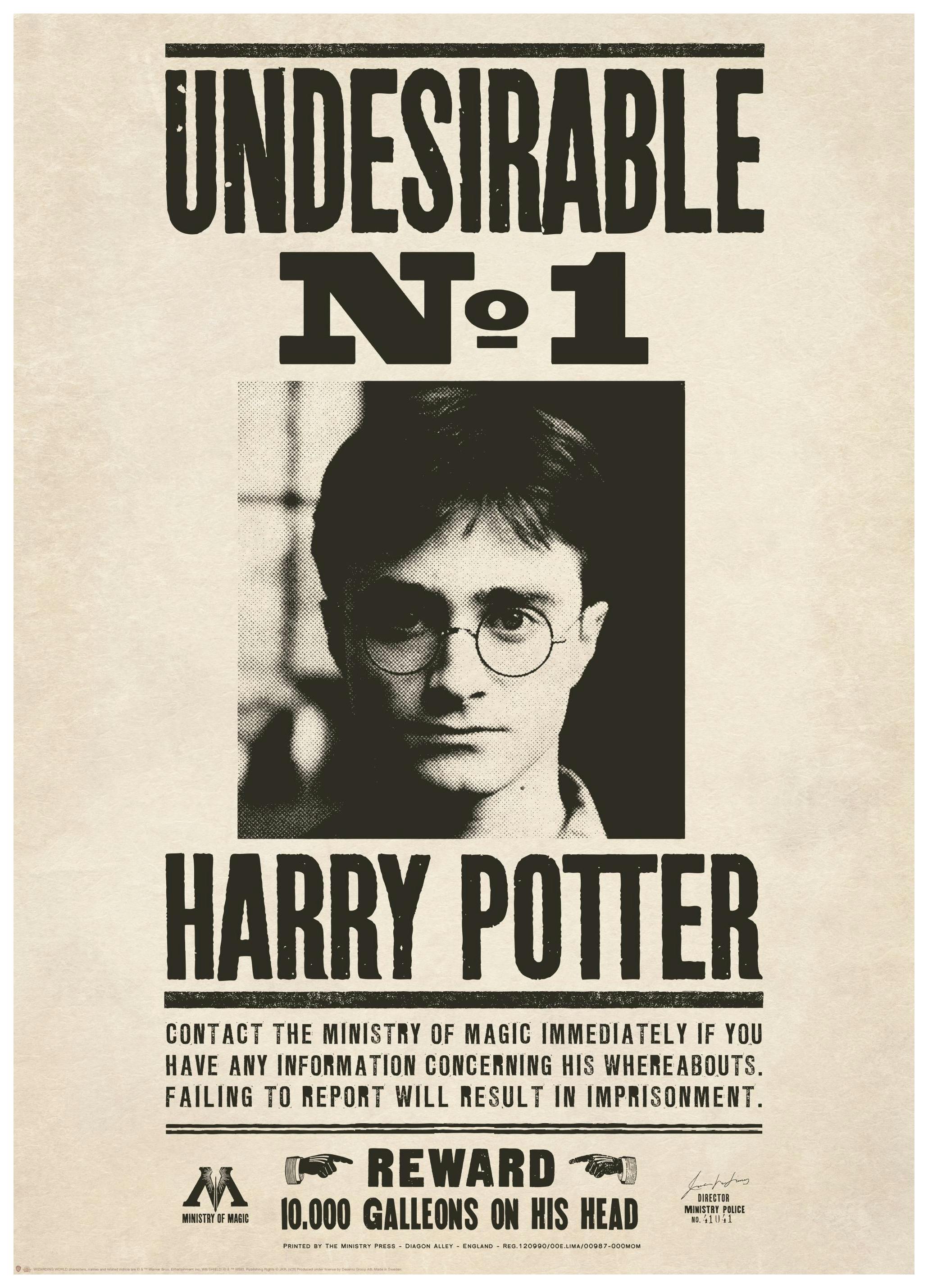 Harry Potter™ - Undesirable Juliste (50x70 cm) - Poster Store