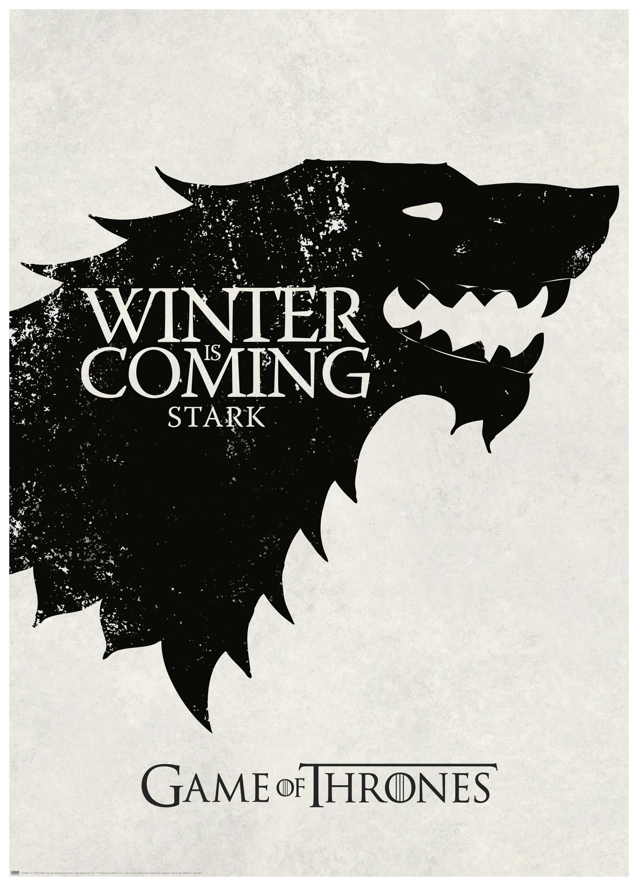 Game of Thrones™ - Winter is Coming Poster (30x40 cm) - Poster Store