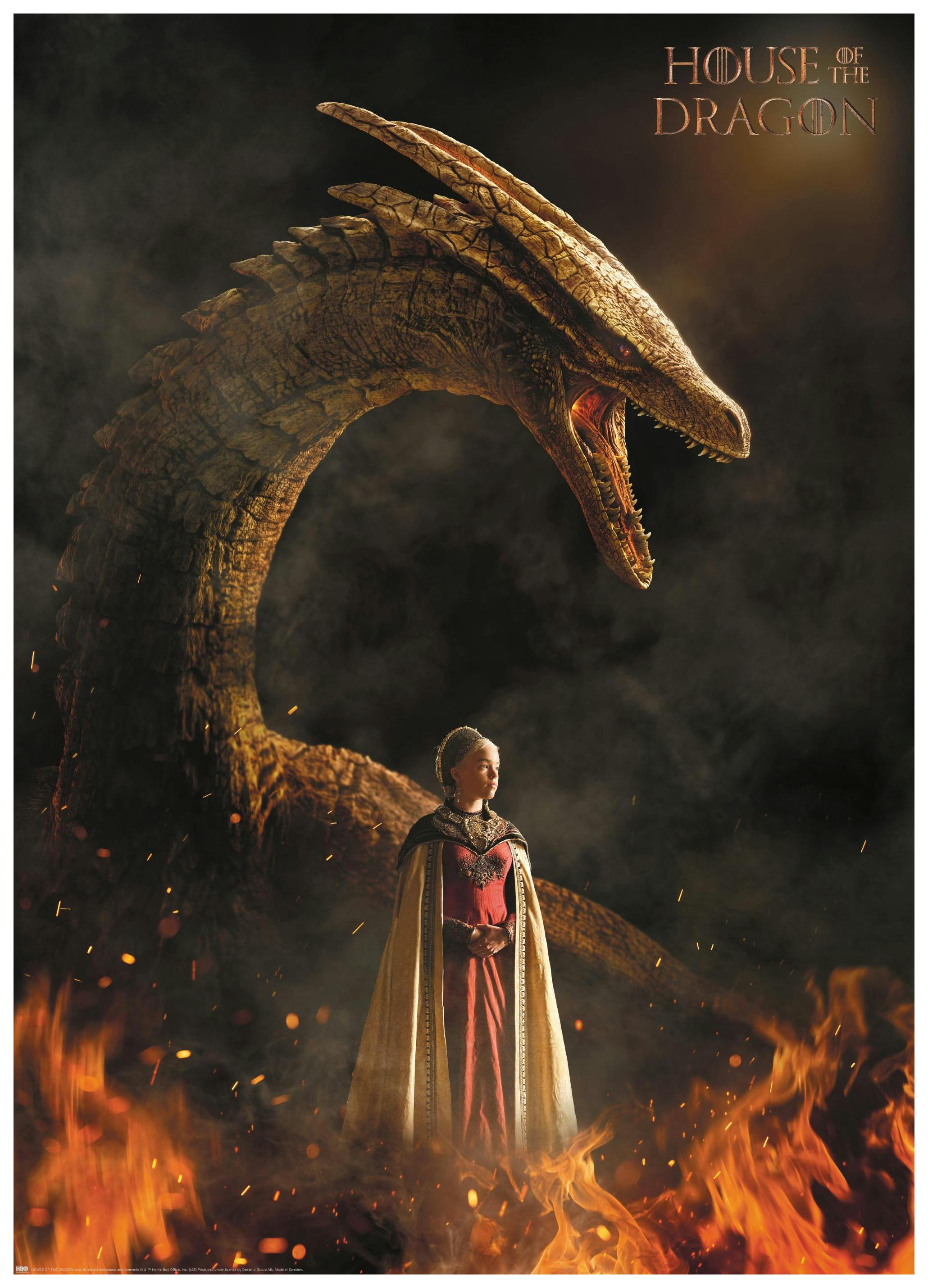 House of the Dragon™ - Rhaenyra Targaryen Affiche (50x70 cm) - Poster Store