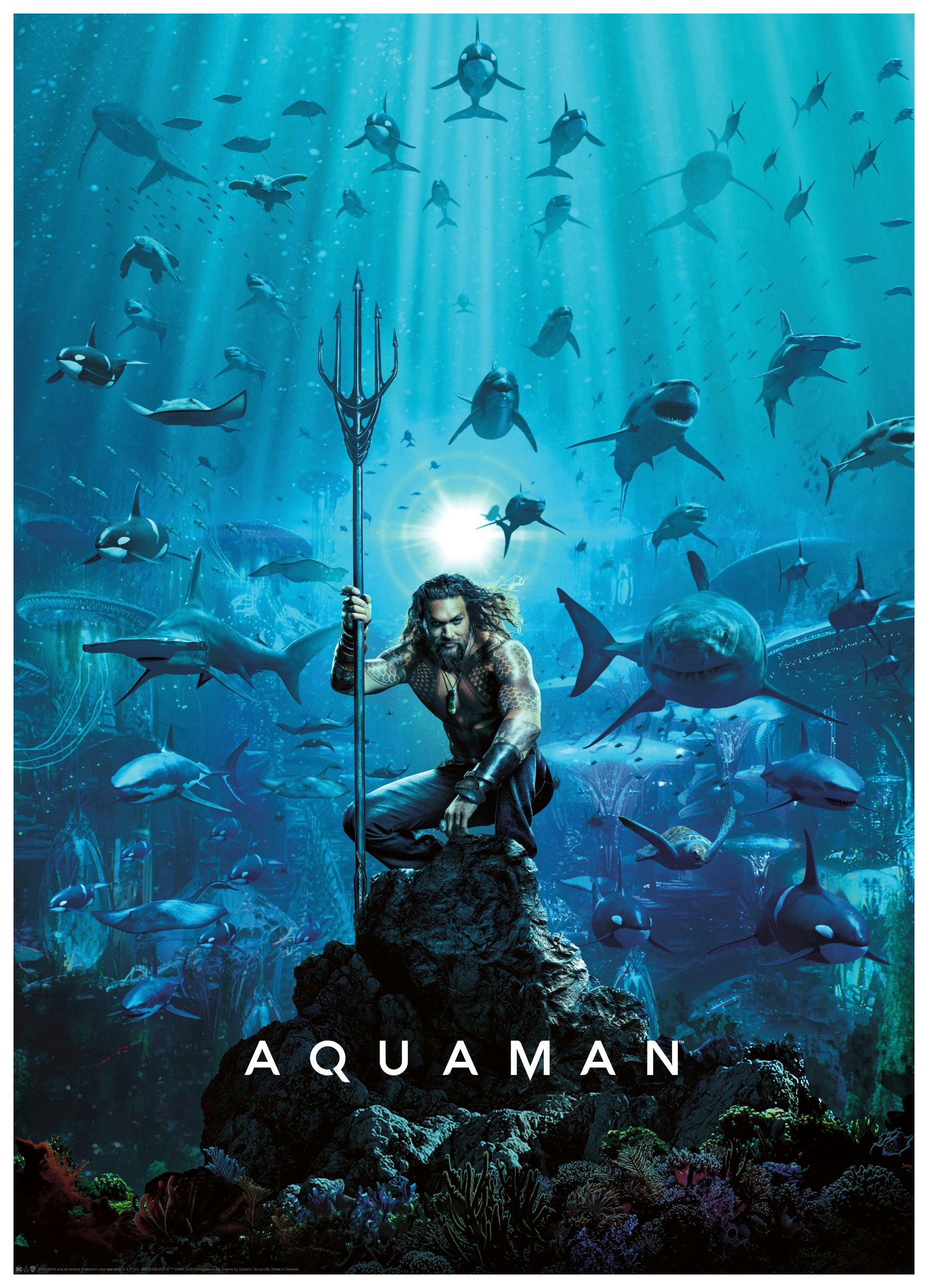 Aquaman™ - Home Is Calling Plakat (30x40 cm) - Poster Store