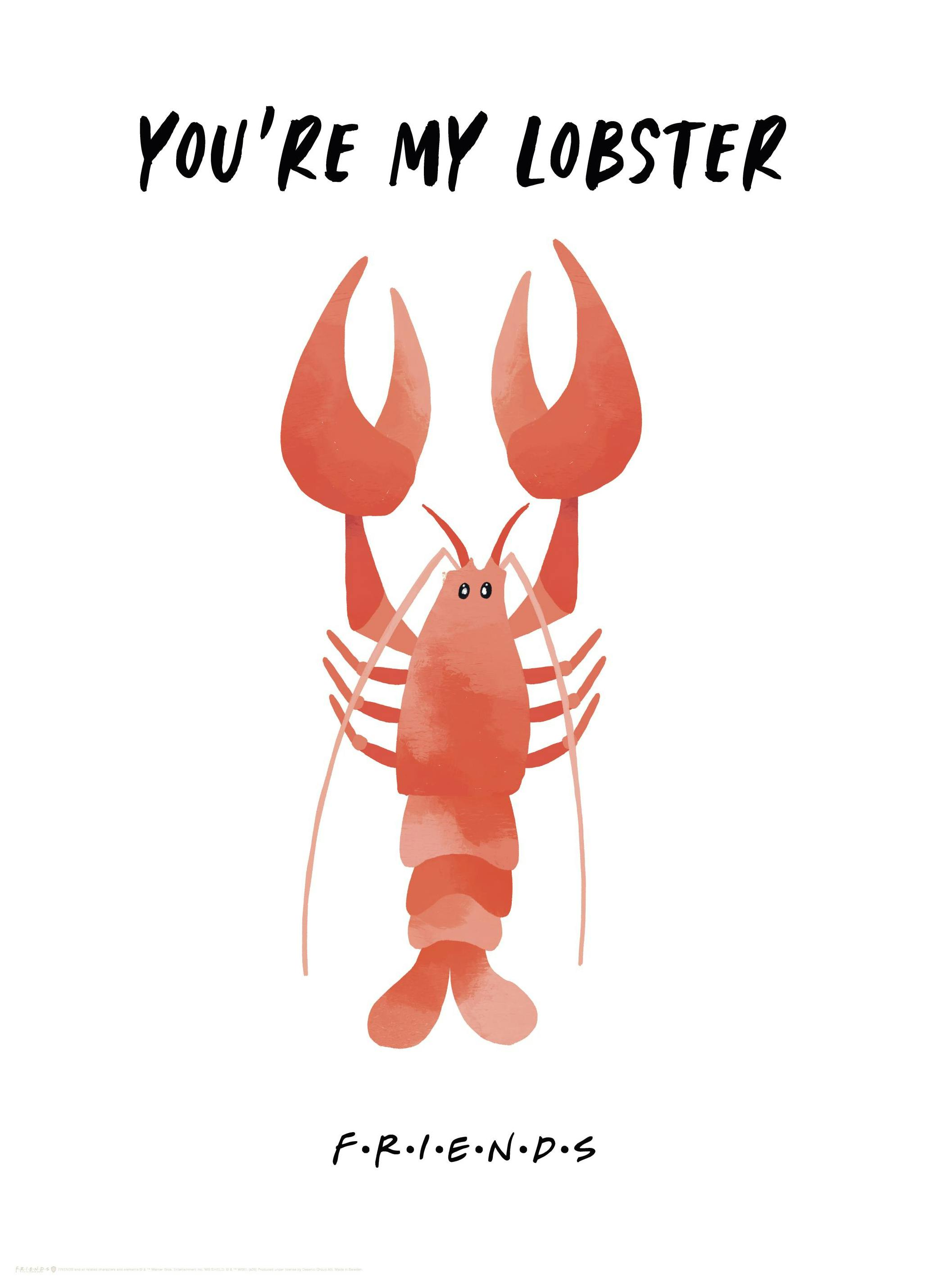 Friends™ - You're My Lobster Poster (30x40 cm) - Poster Store