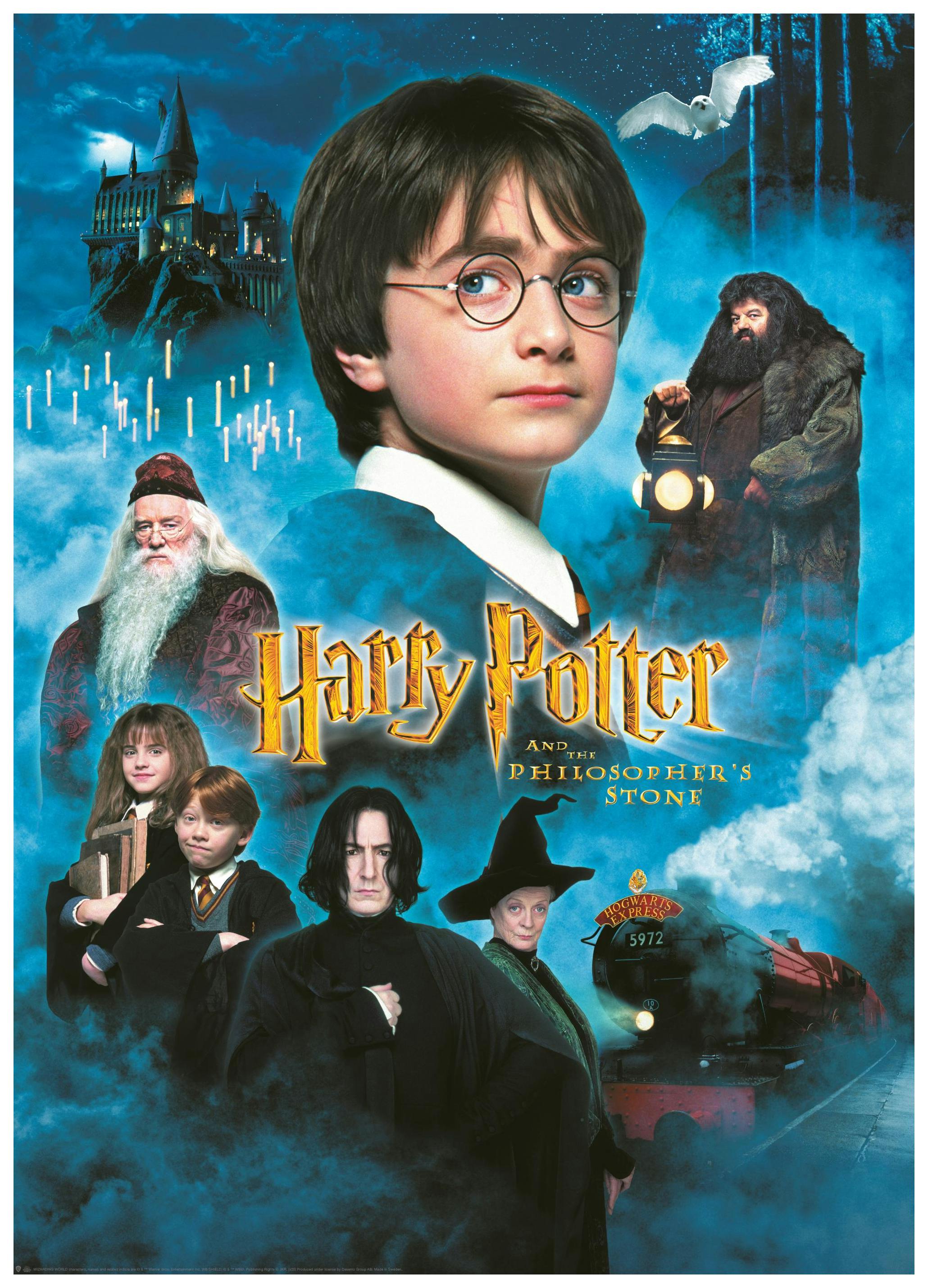 Harry Potter™ - The Philosopher’s Stone No1 Plakat (50x70 cm) - Poster Store