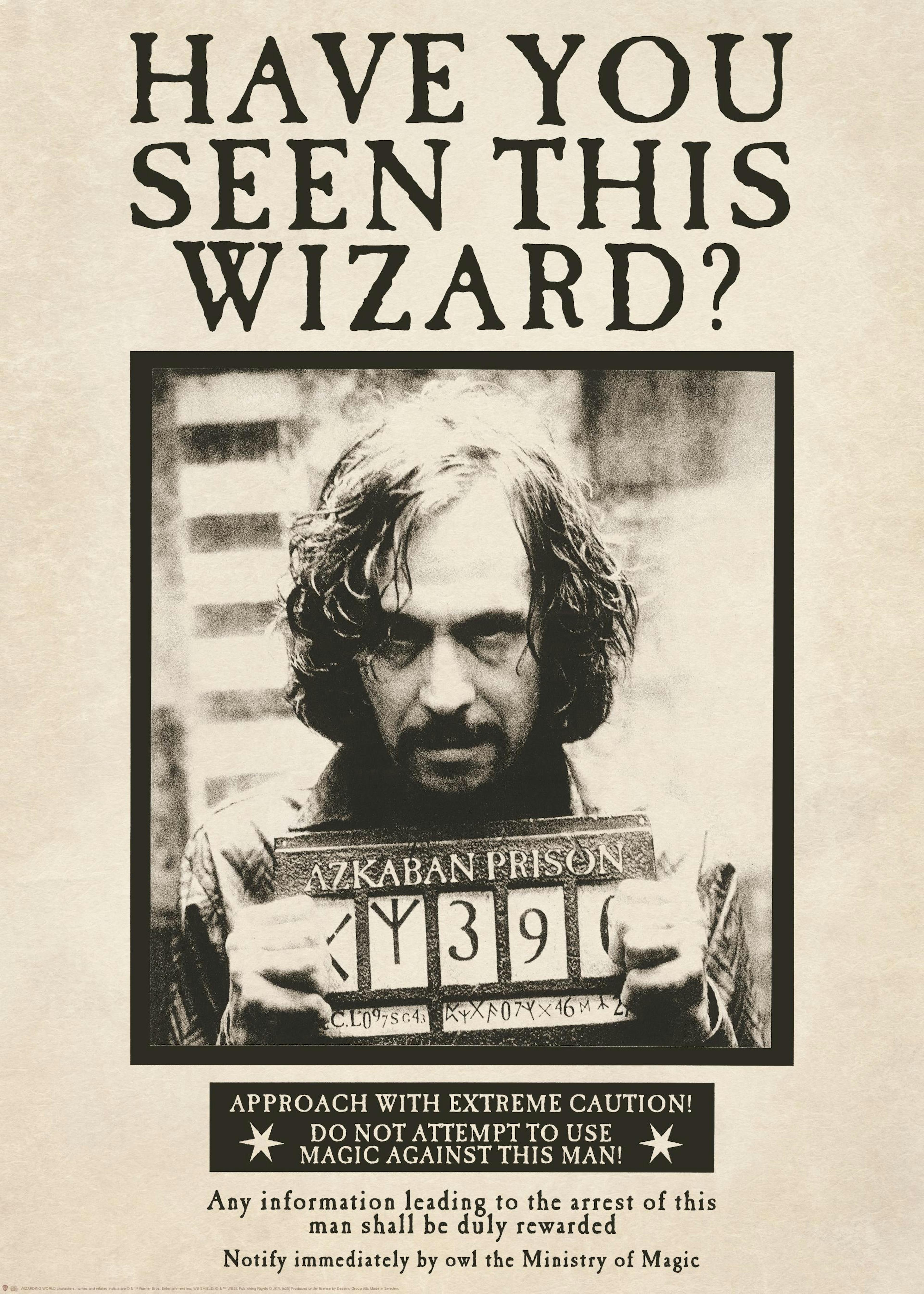 Harry Potter™ - Sirius Black Poster 0