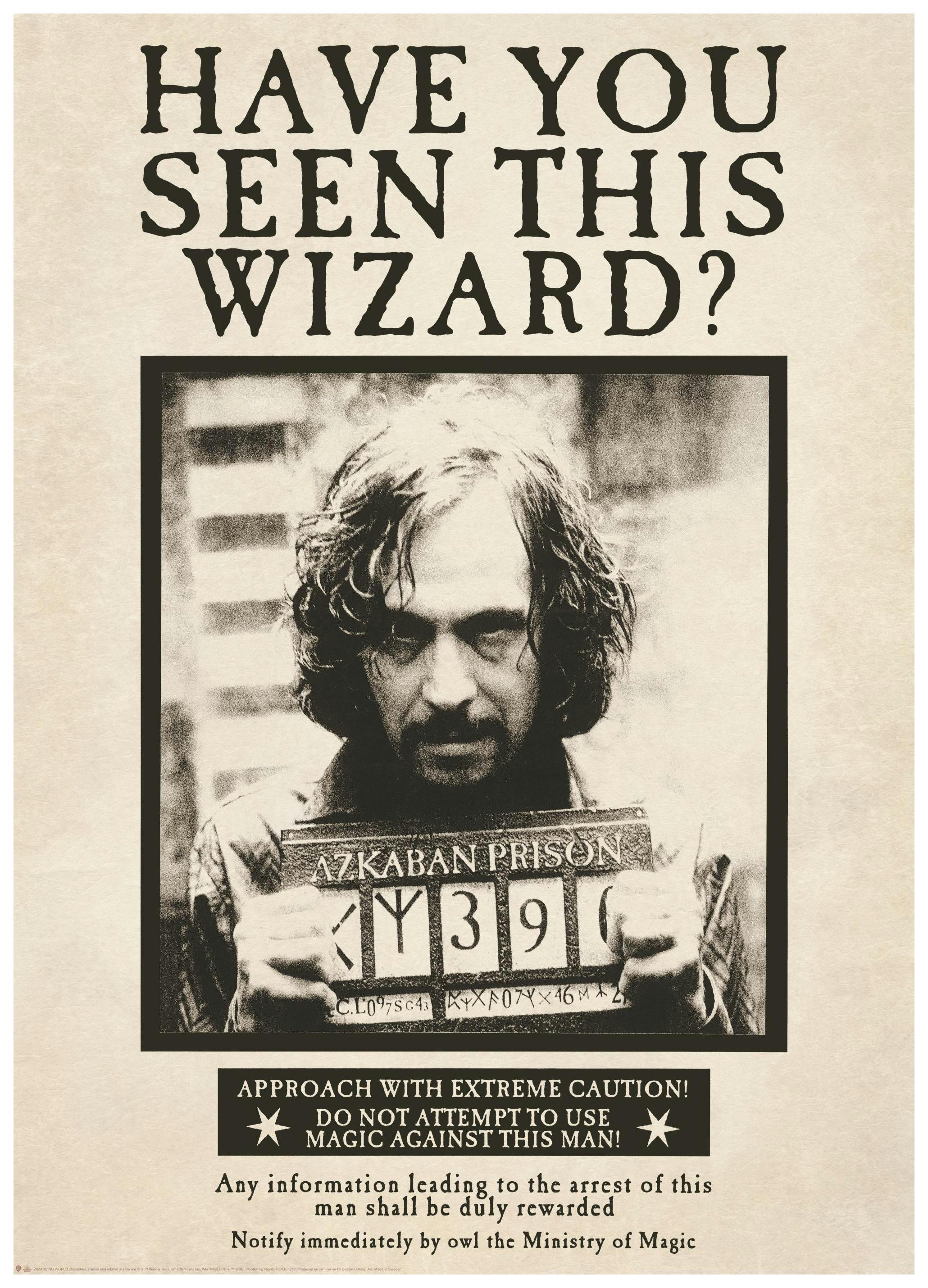 Harry Potter™ - Sirius Black Poster (30x40 cm) - Poster Store