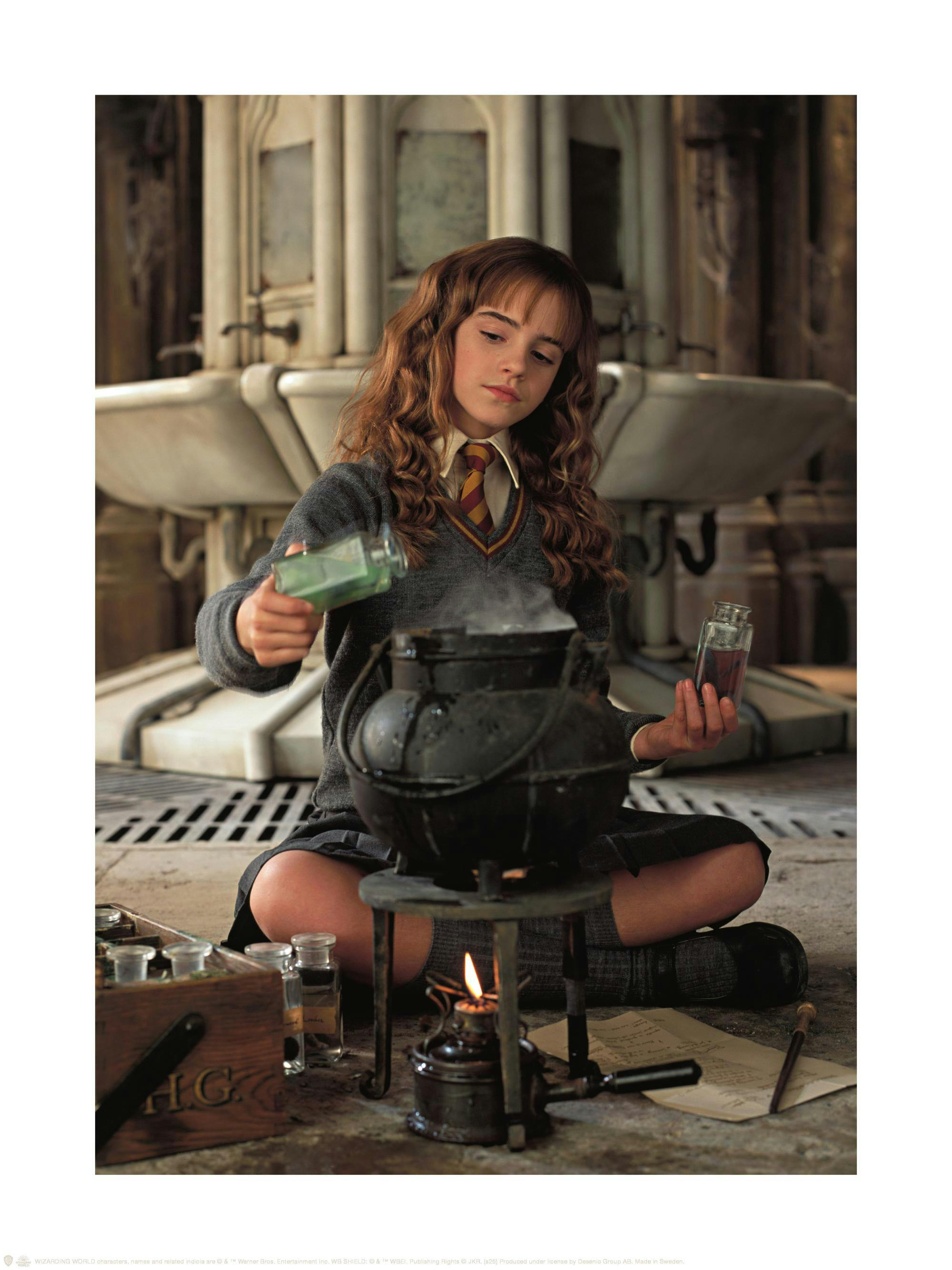 Hermione Granger Costumi Personaggi Harry Potter Harry Potter