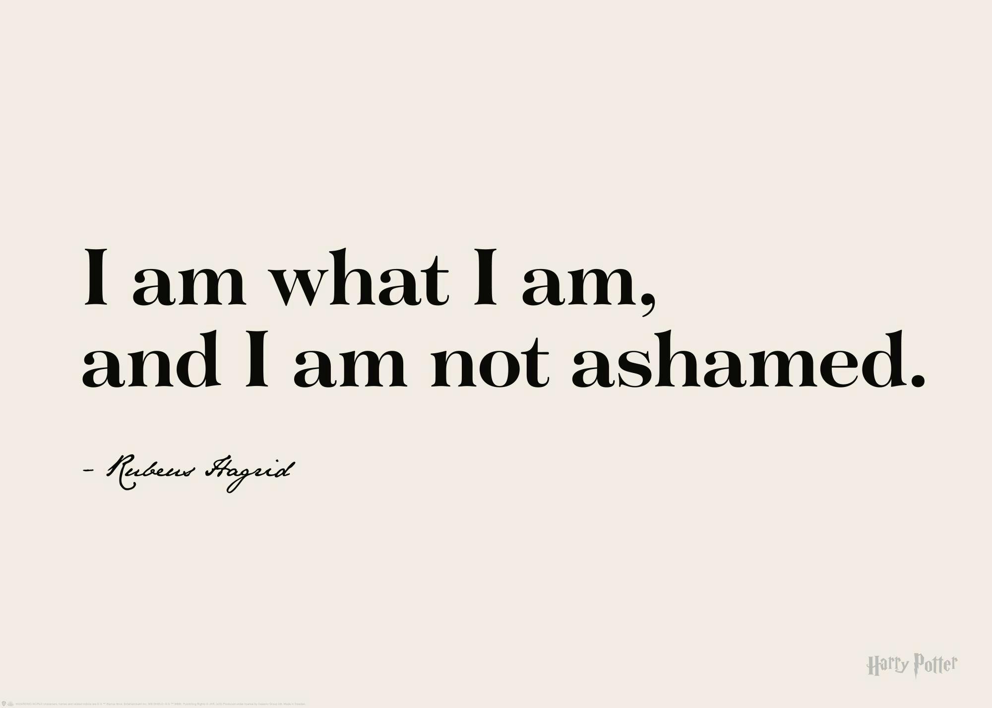 Poster Harry Potter avec la citation dHagrid I am what I am, and I am not ashamed. en noir sur fond beige.