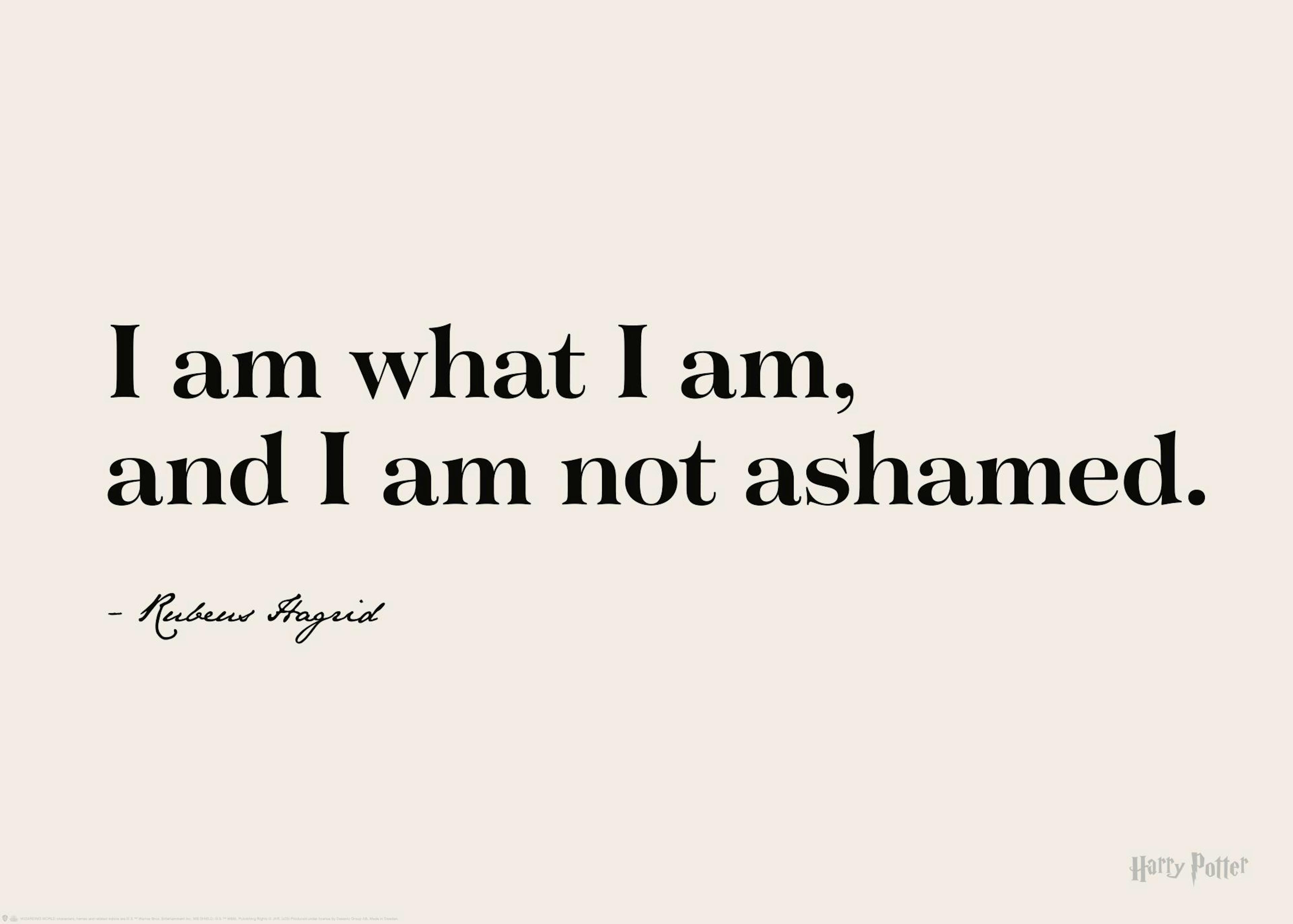 Harry Potter™ - I am What I am Plakat 0