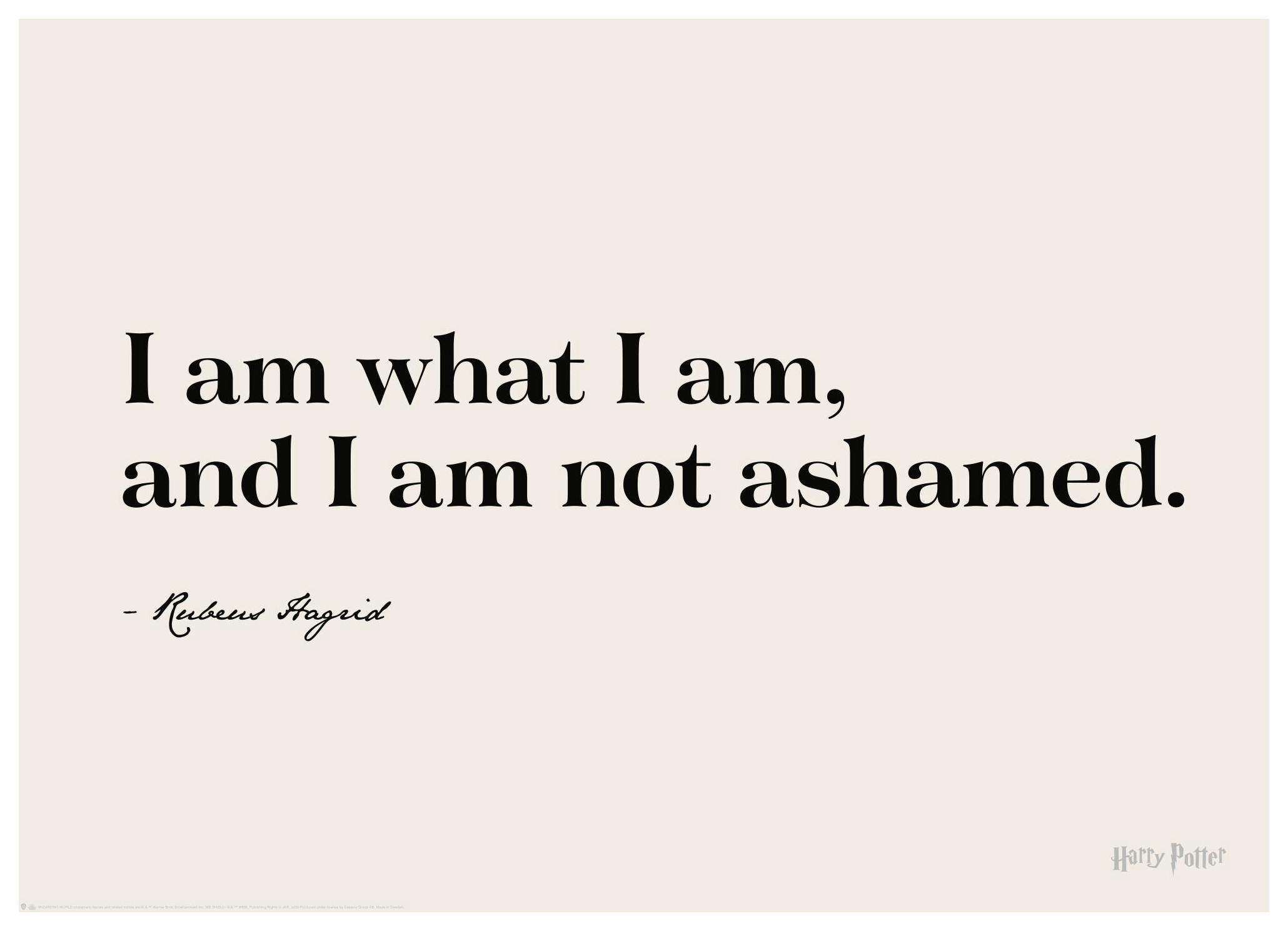 Harry Potter™ - I am What I am Poster (50x70 cm) - Poster Store