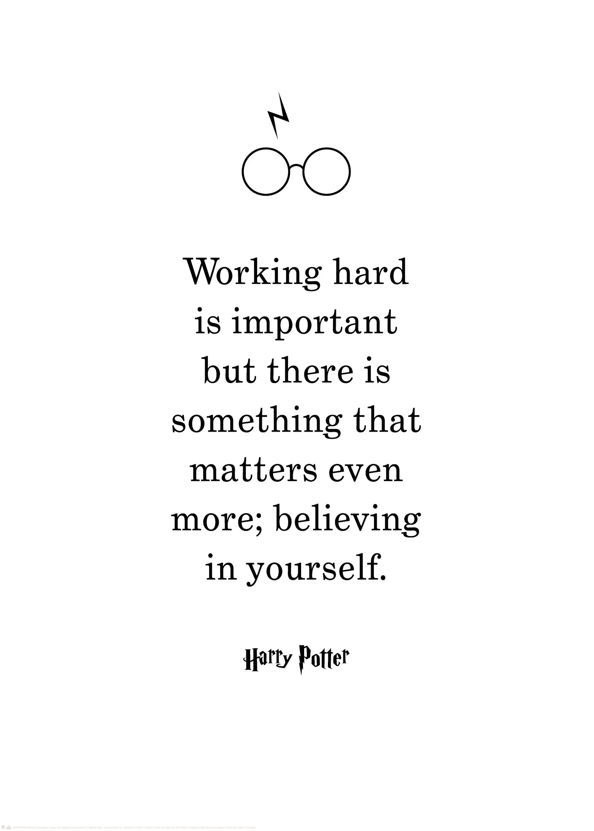 Koop Harry Potter™posters online Posterstore.nl