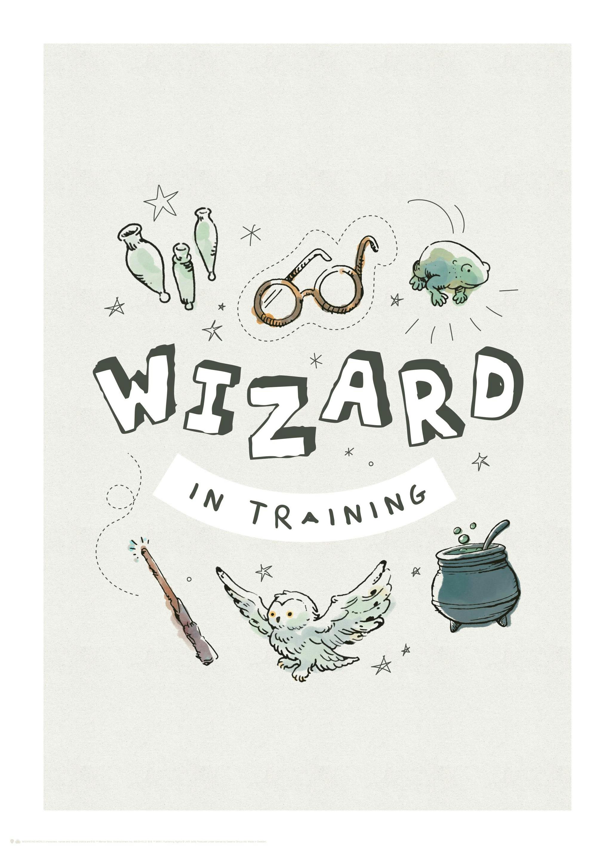 Harry Potter™ - Wizard in Training Poster (50x70 cm) - Poster Store