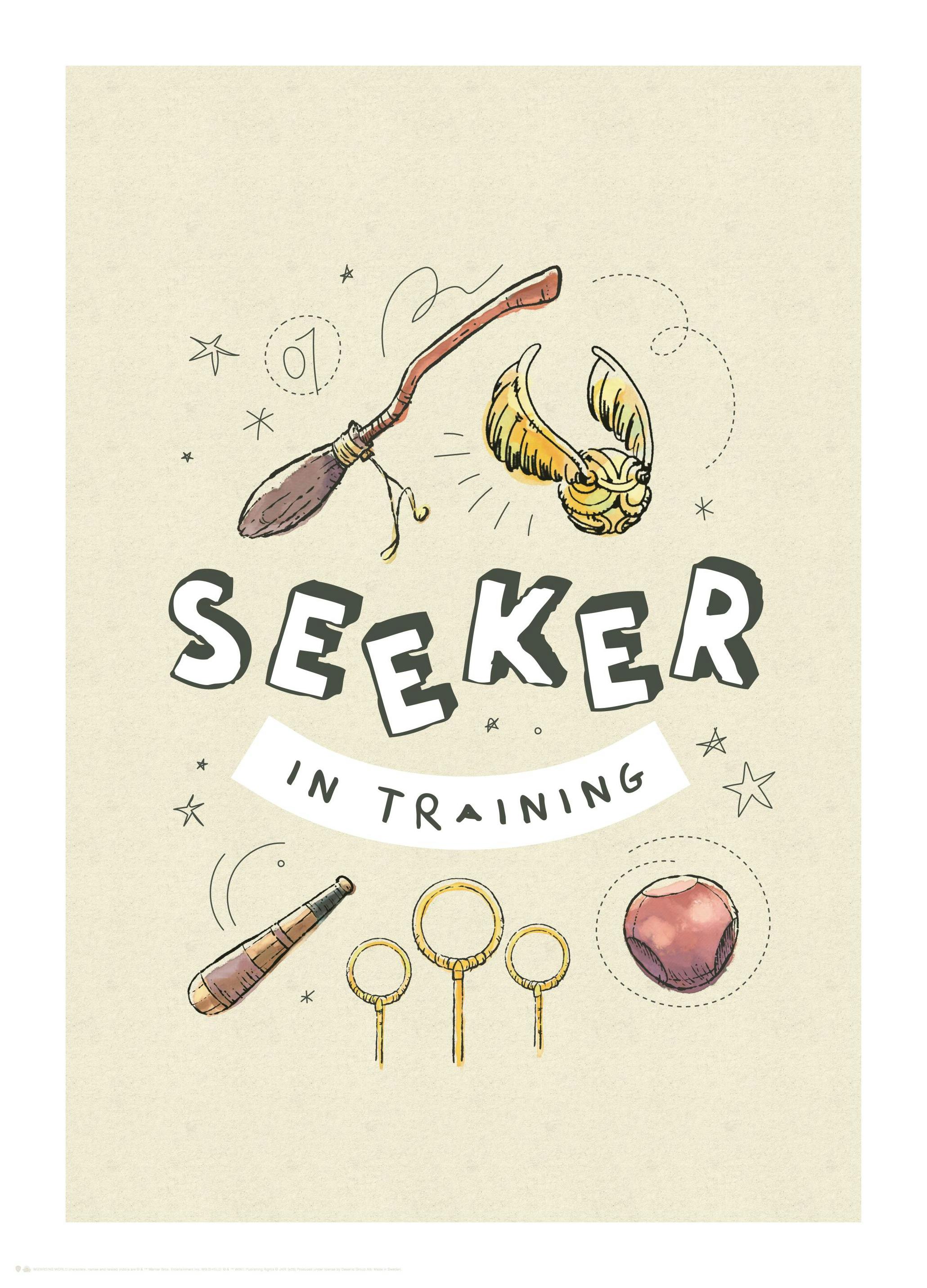 Harry Potter™ - Seeker in Training Poszter (30x40 cm) - Poster Store