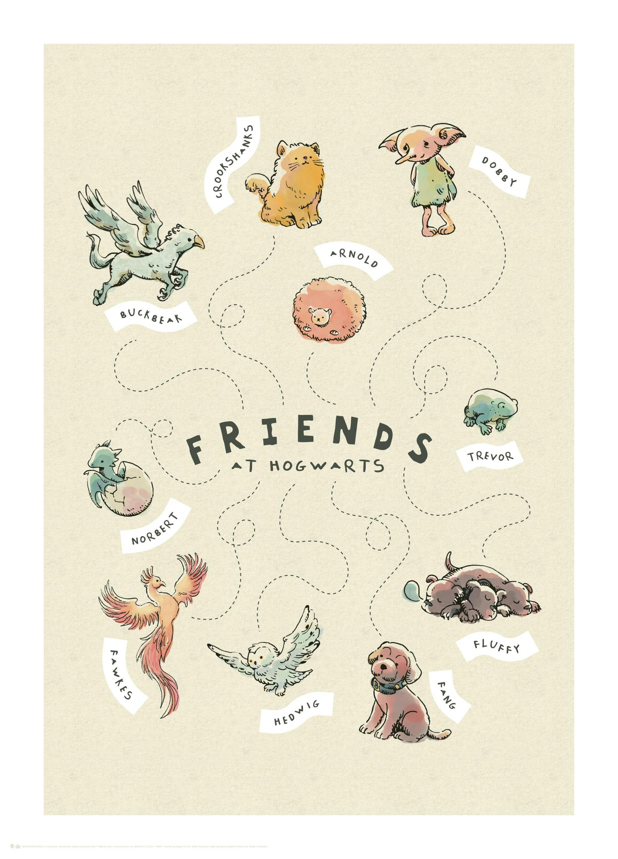 Harry Potter™ - Friends at Hogwarts Affiche (30x40 cm) - Poster Store