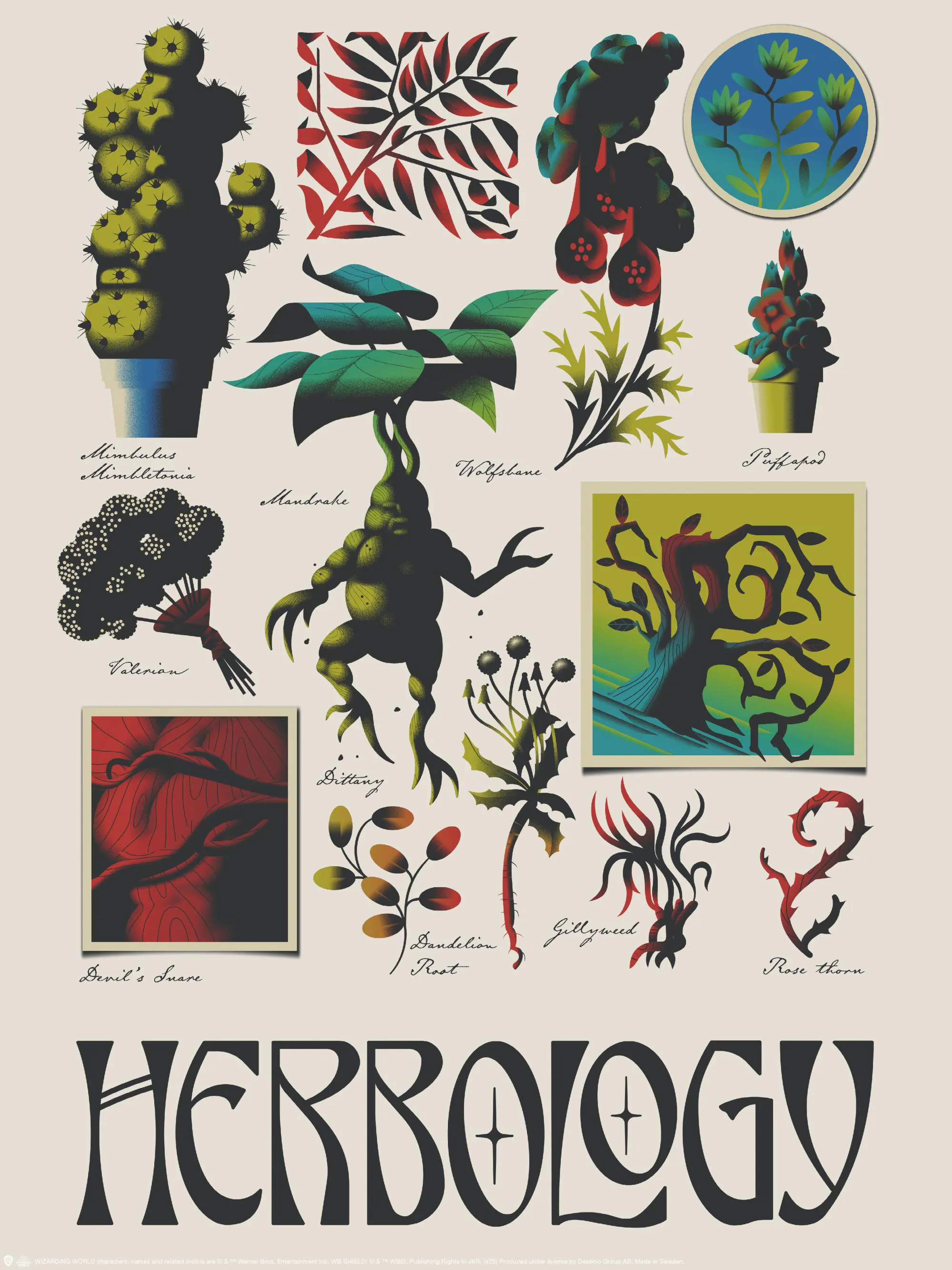 Vintage Botanische Kruiden Poster Antiek Plant Plantkunde Muur Kunst Vintage Botanische Kruiden Poster Antiek Plant Plantkunde Muur Kunst