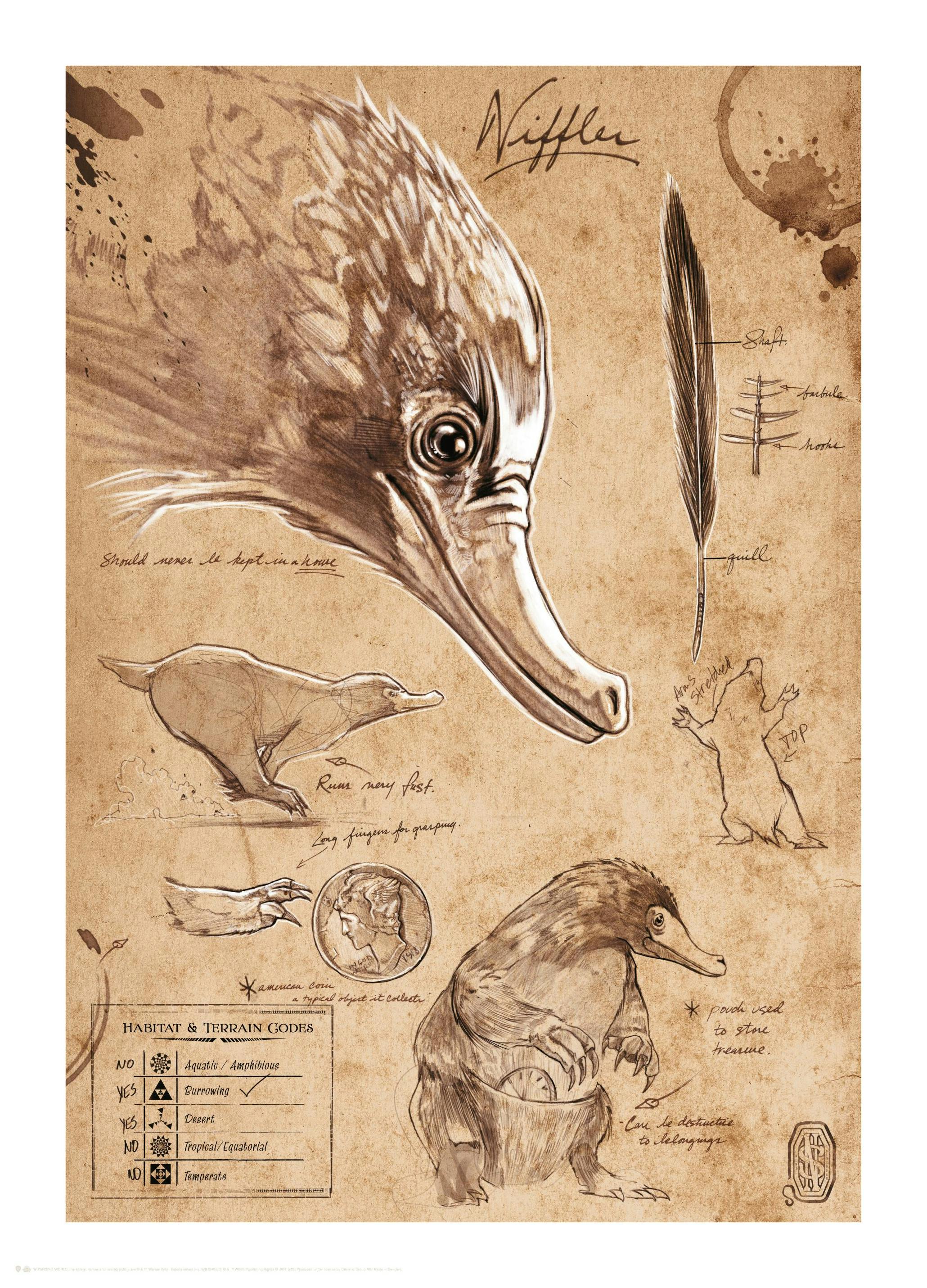 Fantastic Beasts™ - Niffler Sketch Affiche (30x40 cm) - Poster Store