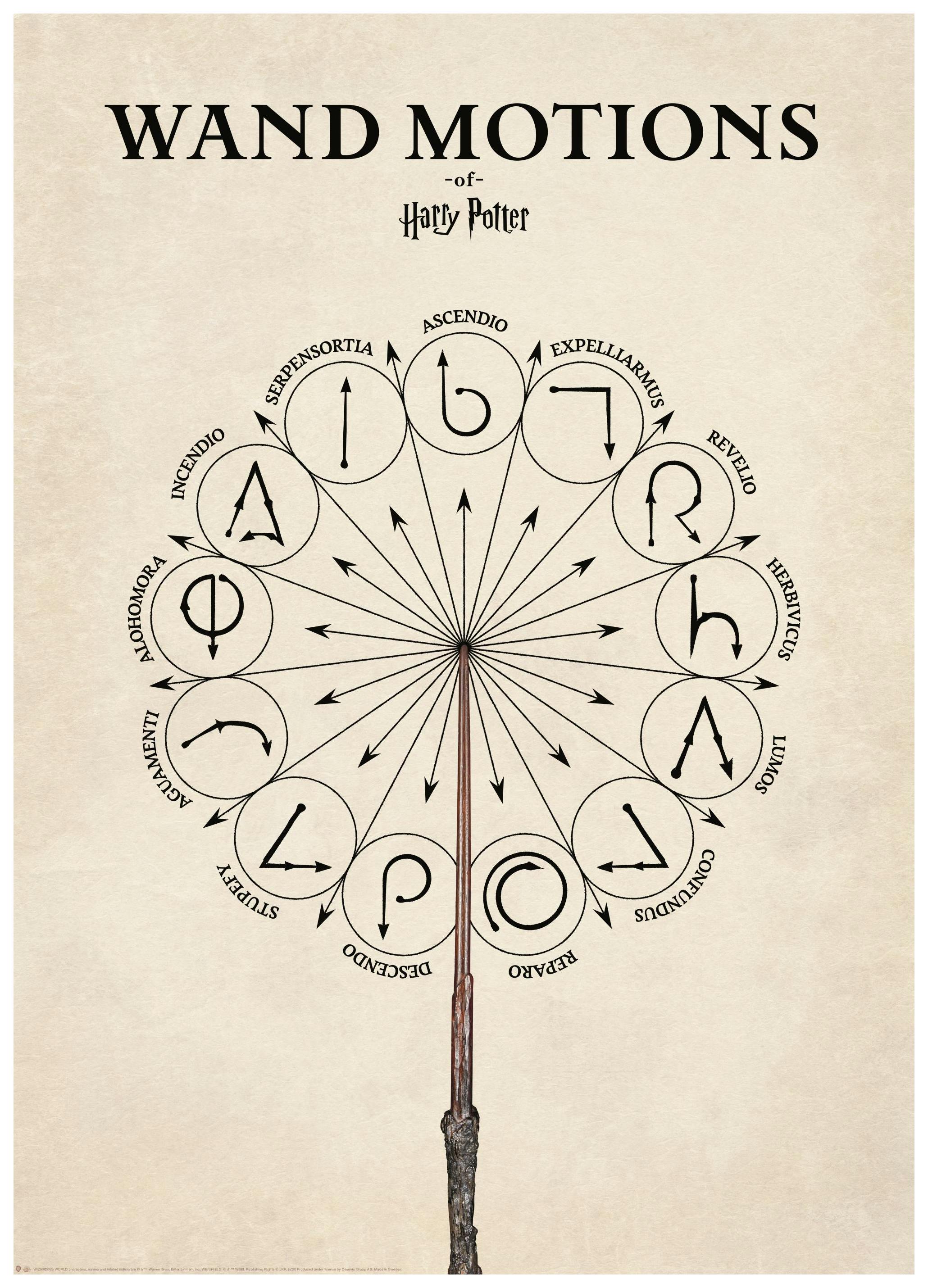 Harry Potter™ - Wand Motions Poster (30x40 cm) - Poster Store