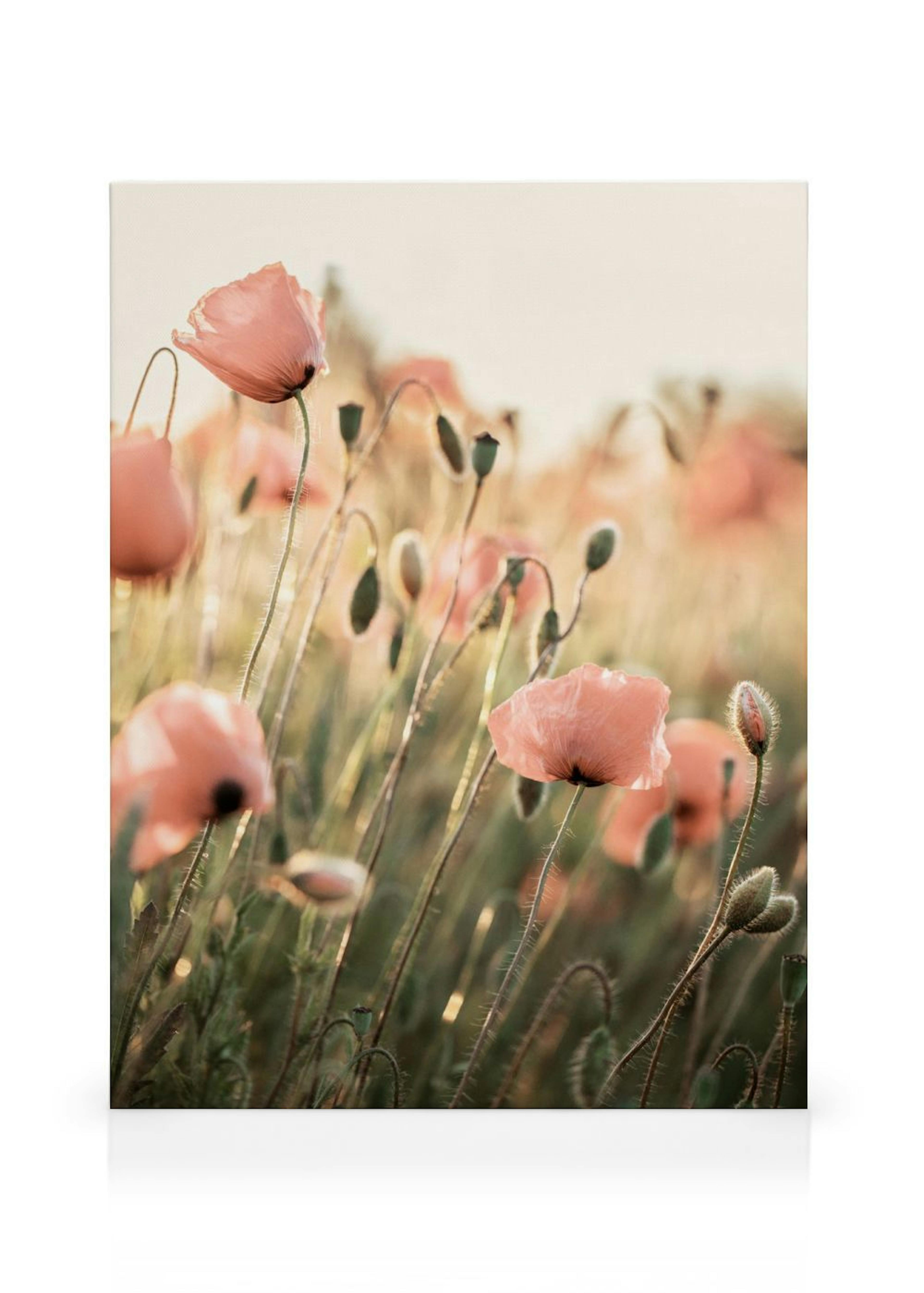 Product image: 1