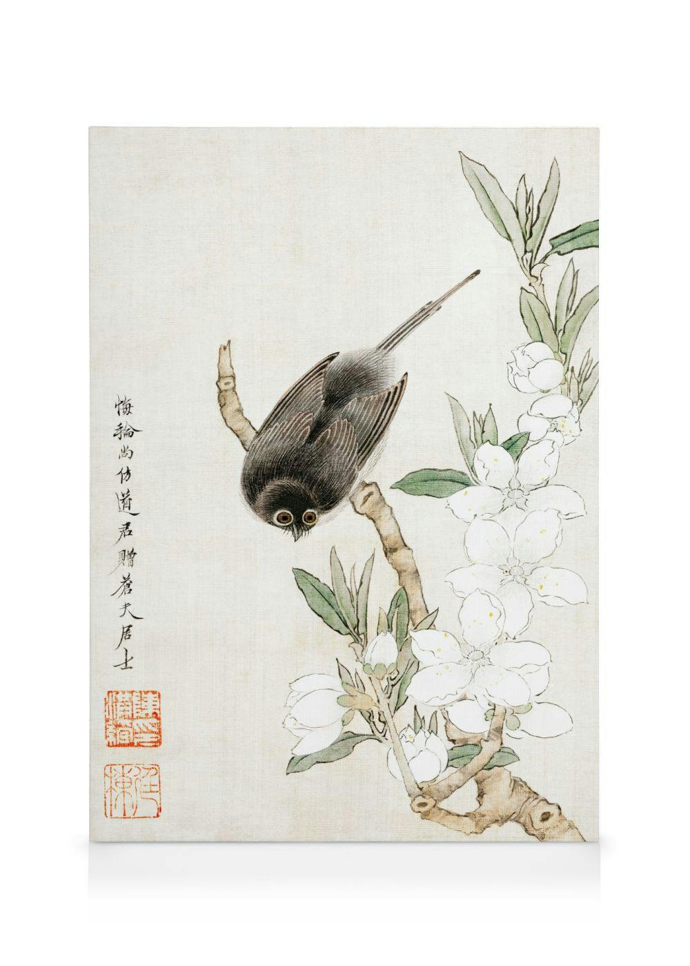 Chen Hongshou - Oiseau sur Branche Toile (50x70 cm - Cadre de chêne) - Poster Store