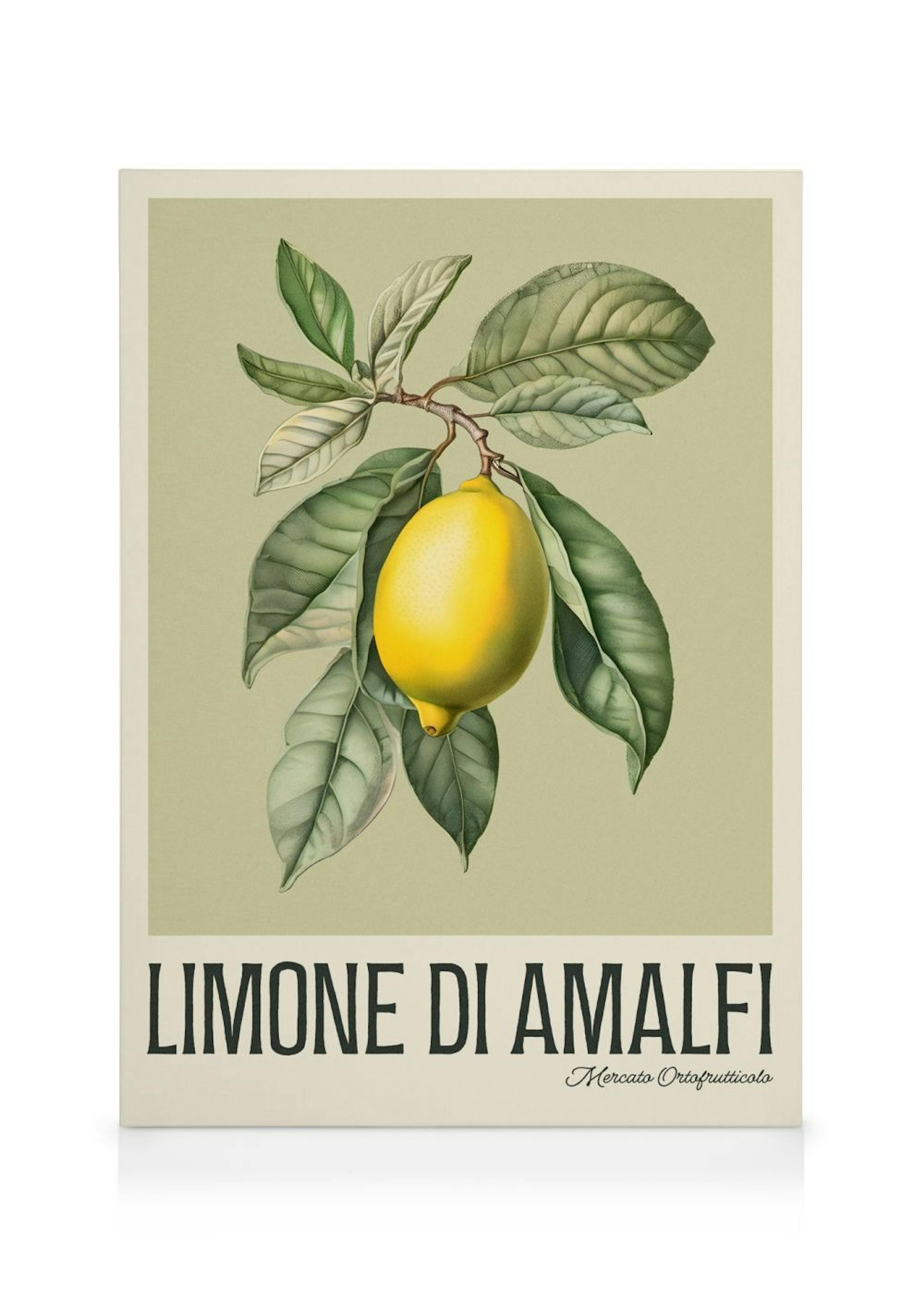 Limone di Amalfi Leinwandbild 0