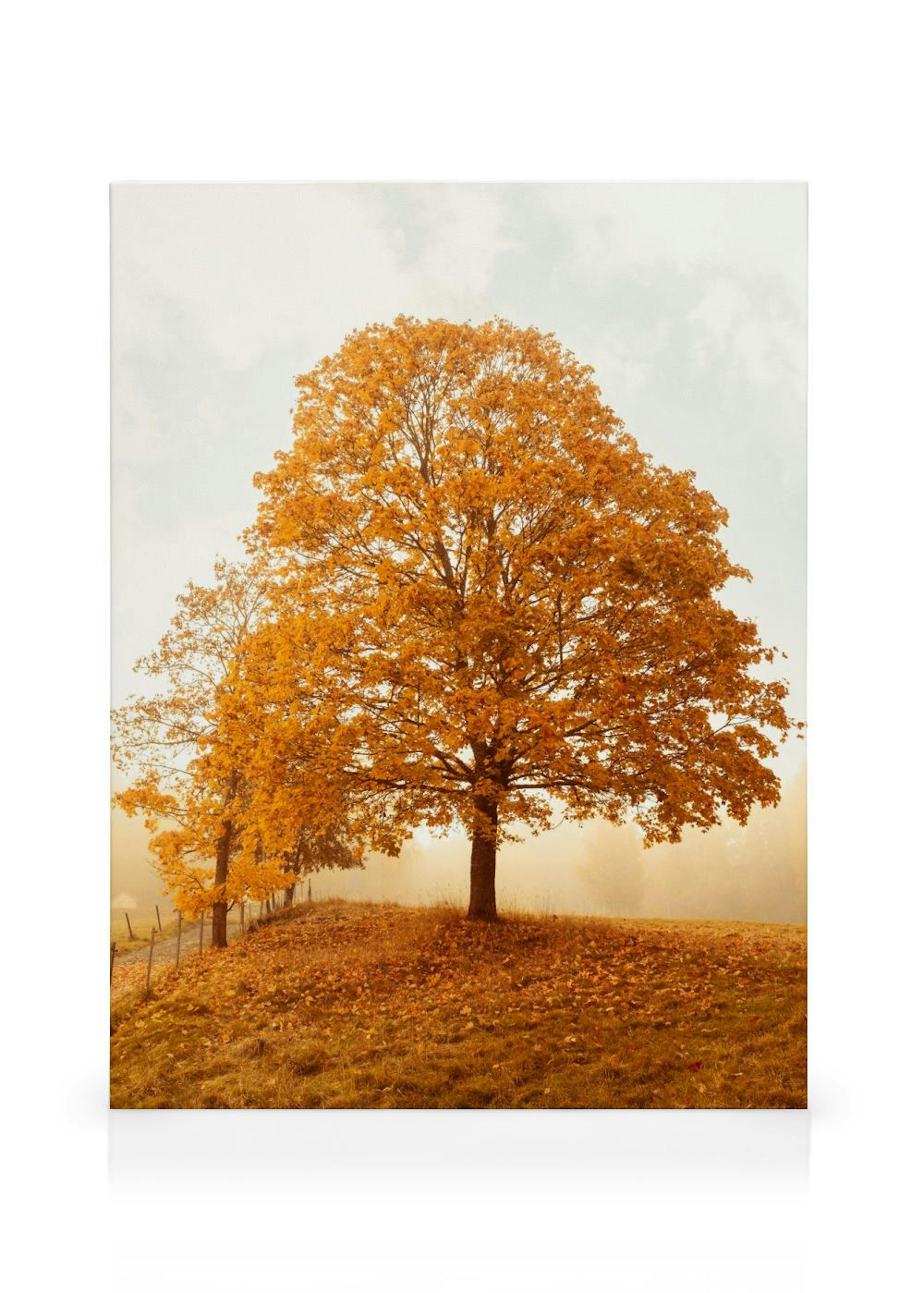 Product image: 1