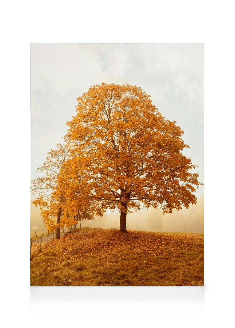 Canvas Prints - Golden Hour Canvas print (70x100 cm - Black Frame) - Poster Store