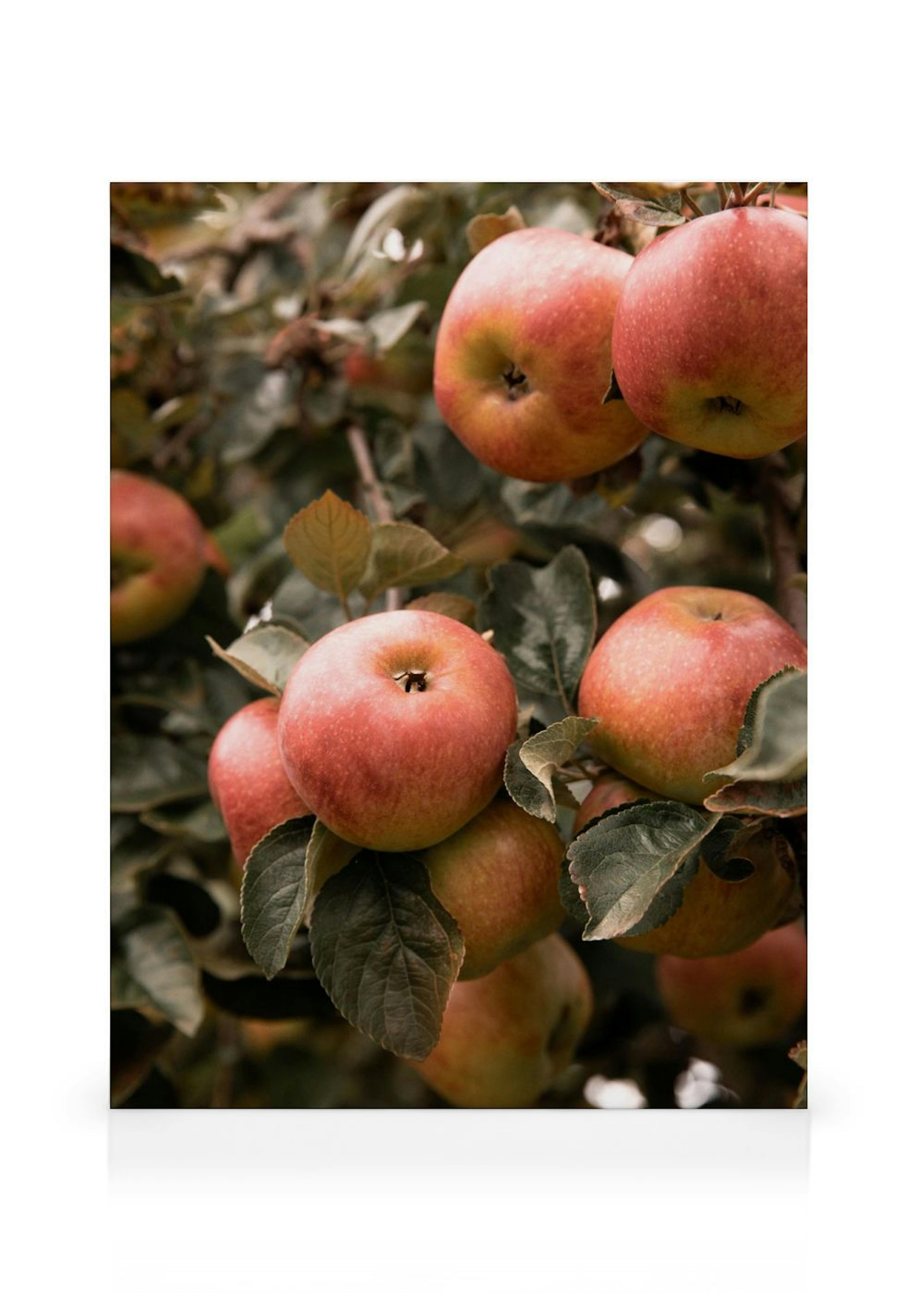 Product image: 1