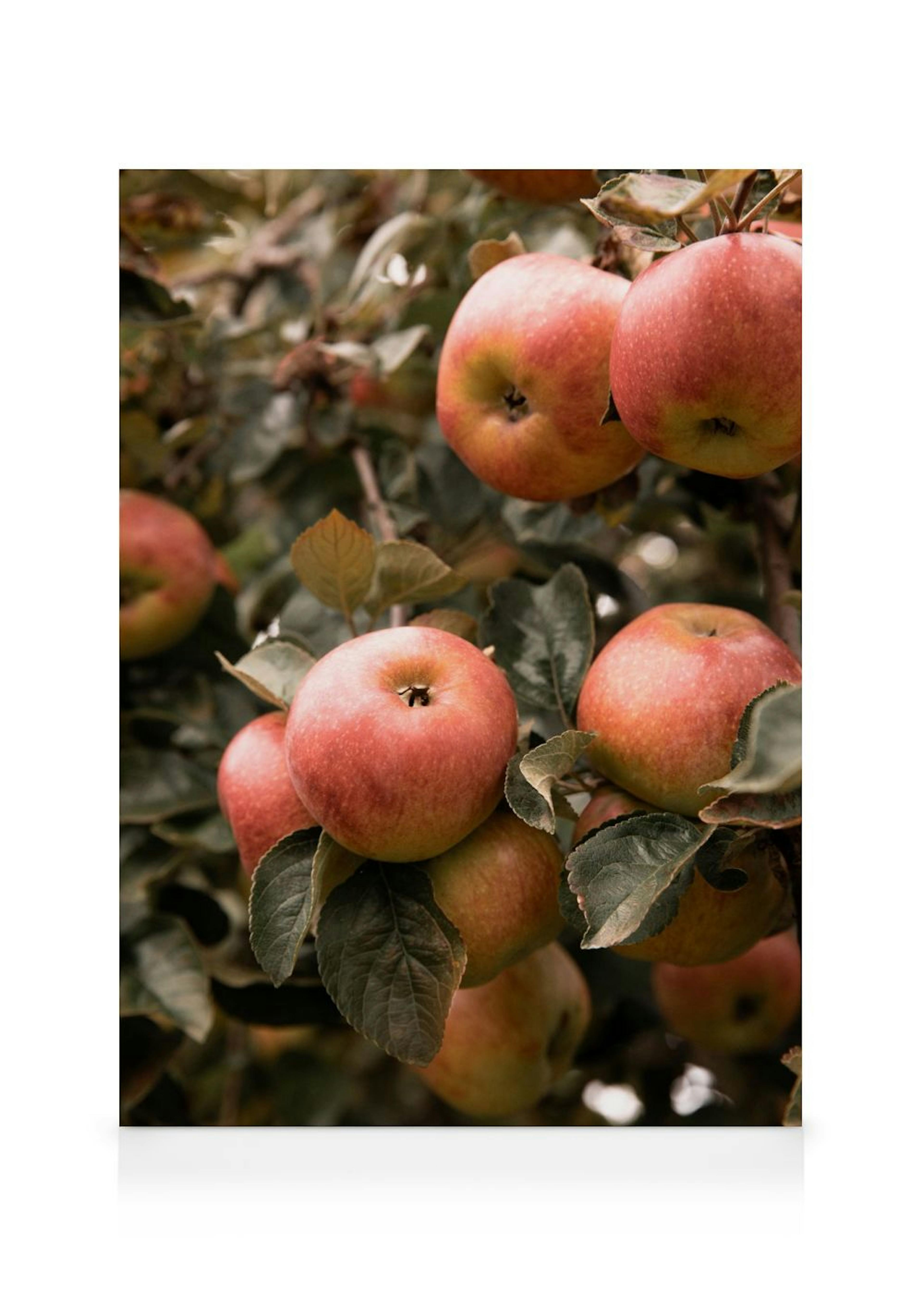 Pick Me Canvas print 0