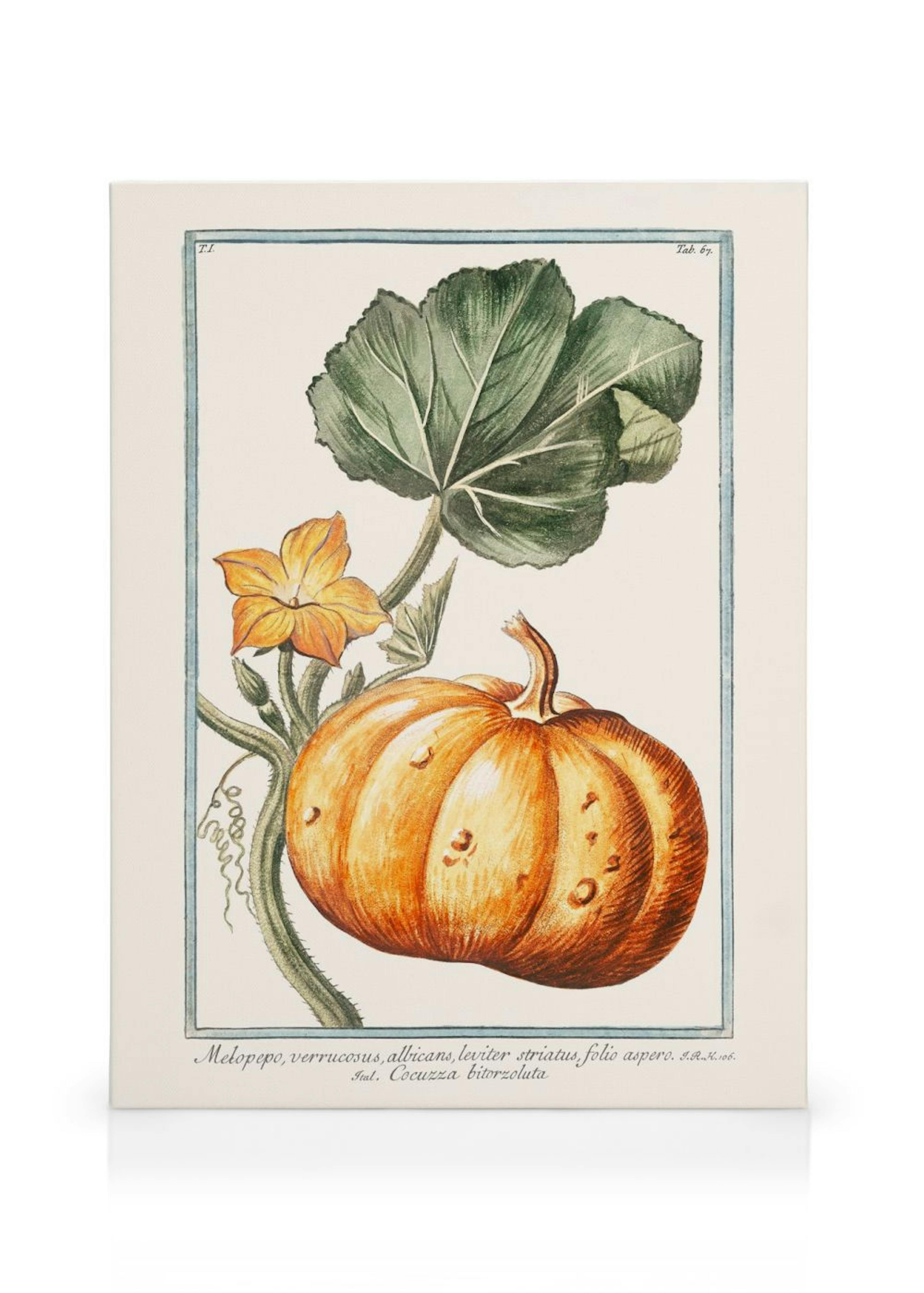 Product image: 1