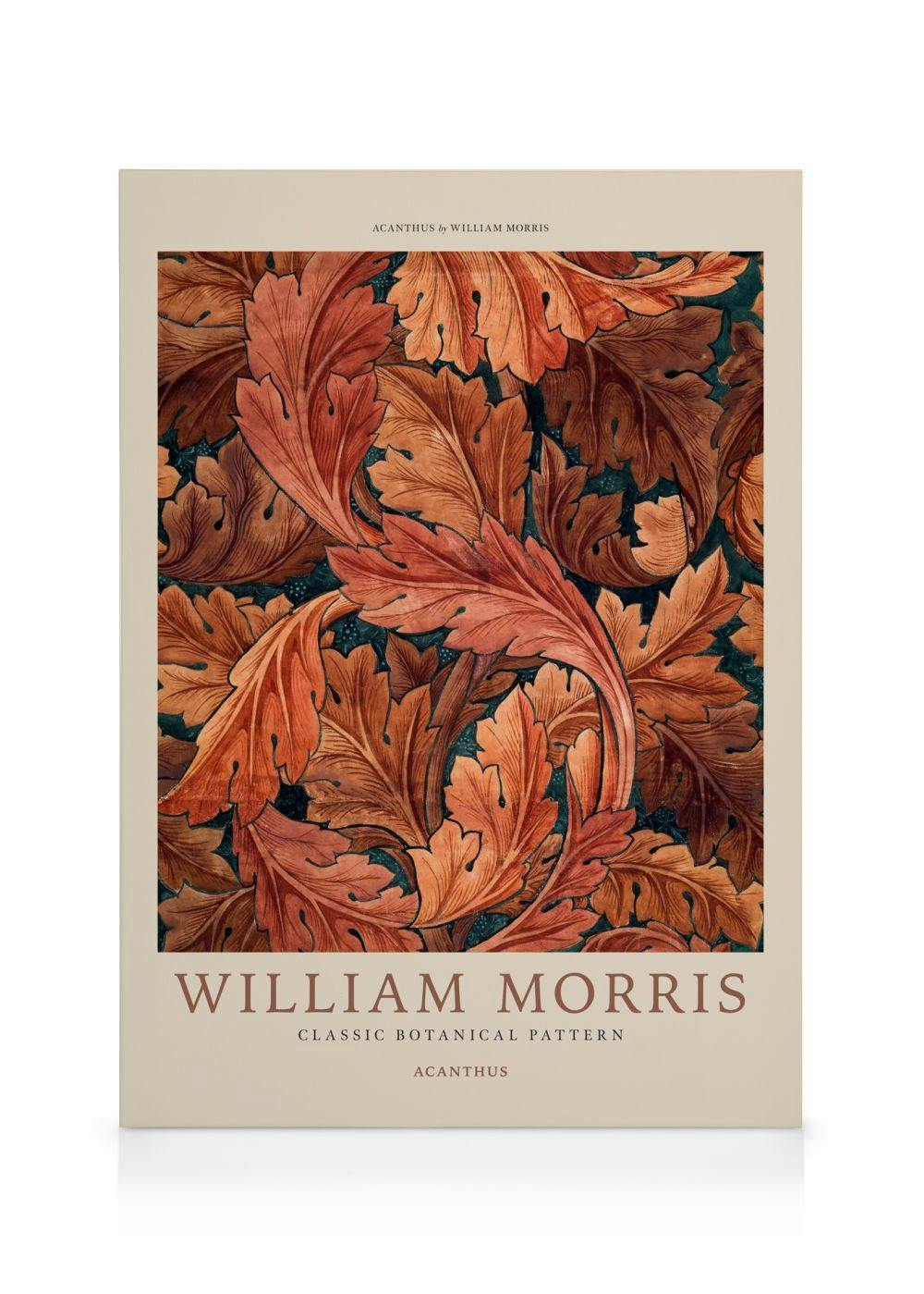 William Morris - Acanthus Toile 0