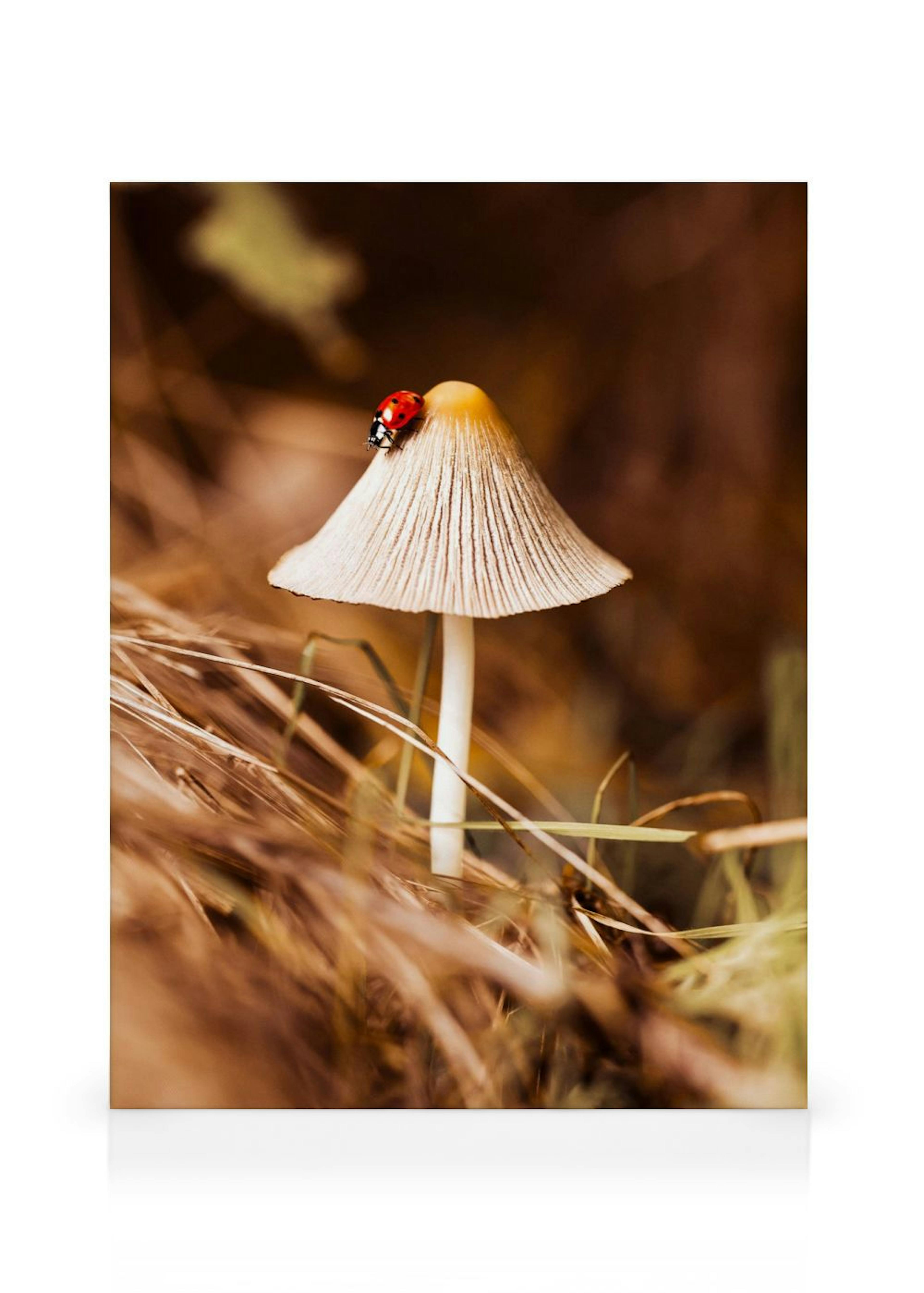 Product image: 1