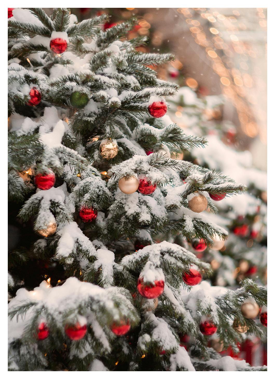 Tidings of Joy Poster (50x70 cm) - Poster Store