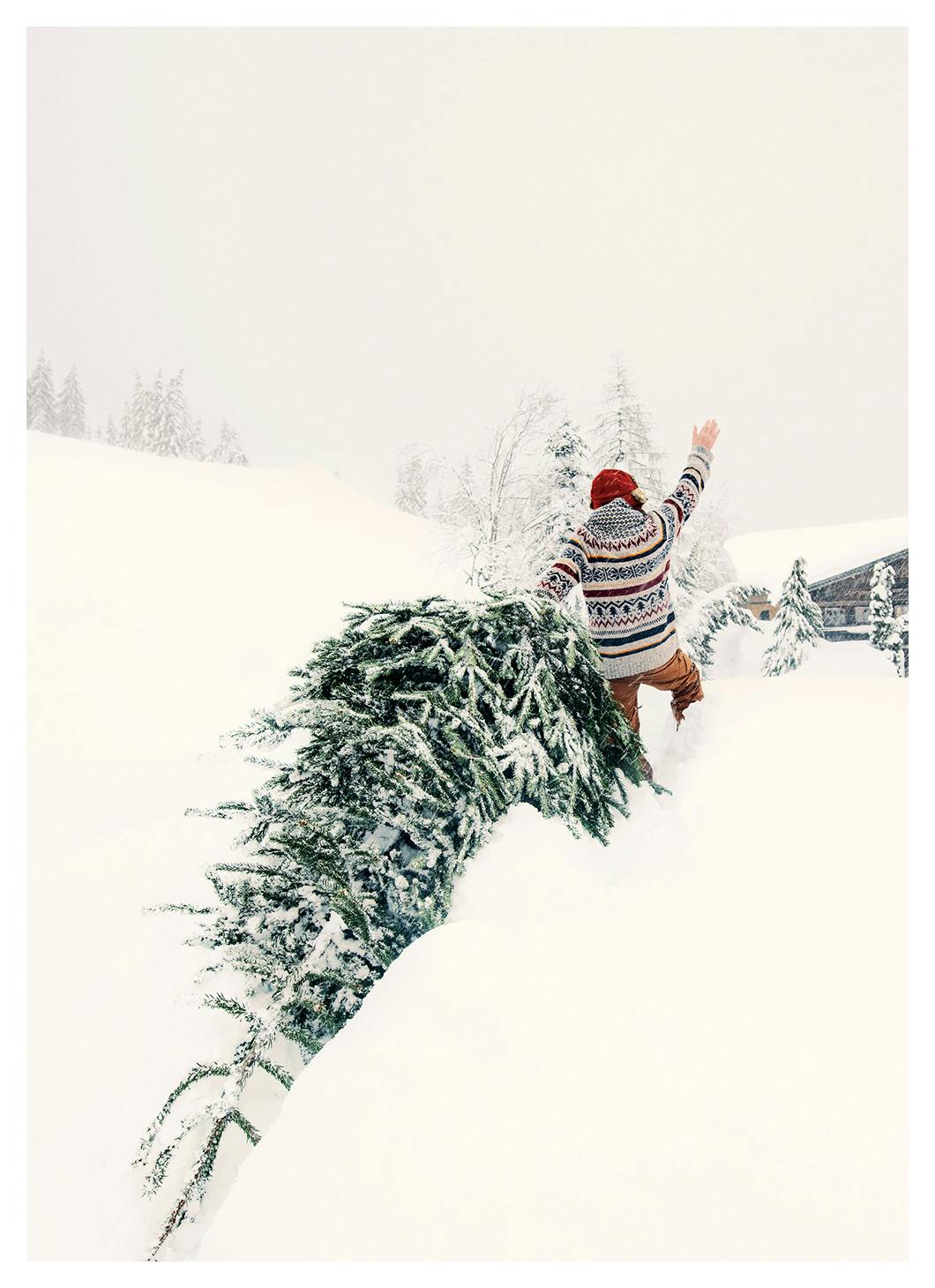 Bringing Home the Magic Poster (30x40 cm) - Poster Store