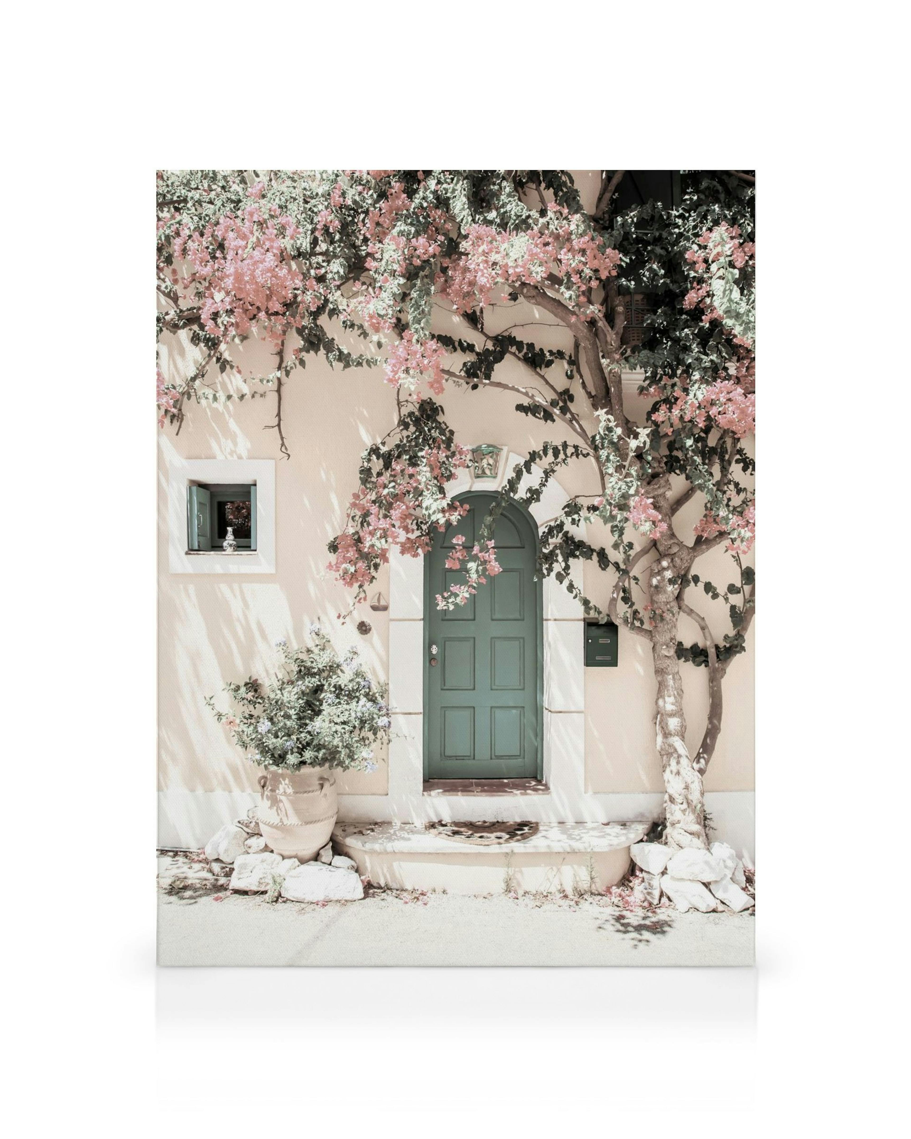 Lienzo de una fachada color crema con puerta verde, ventana y buganvillas rosas trepando por la pared.