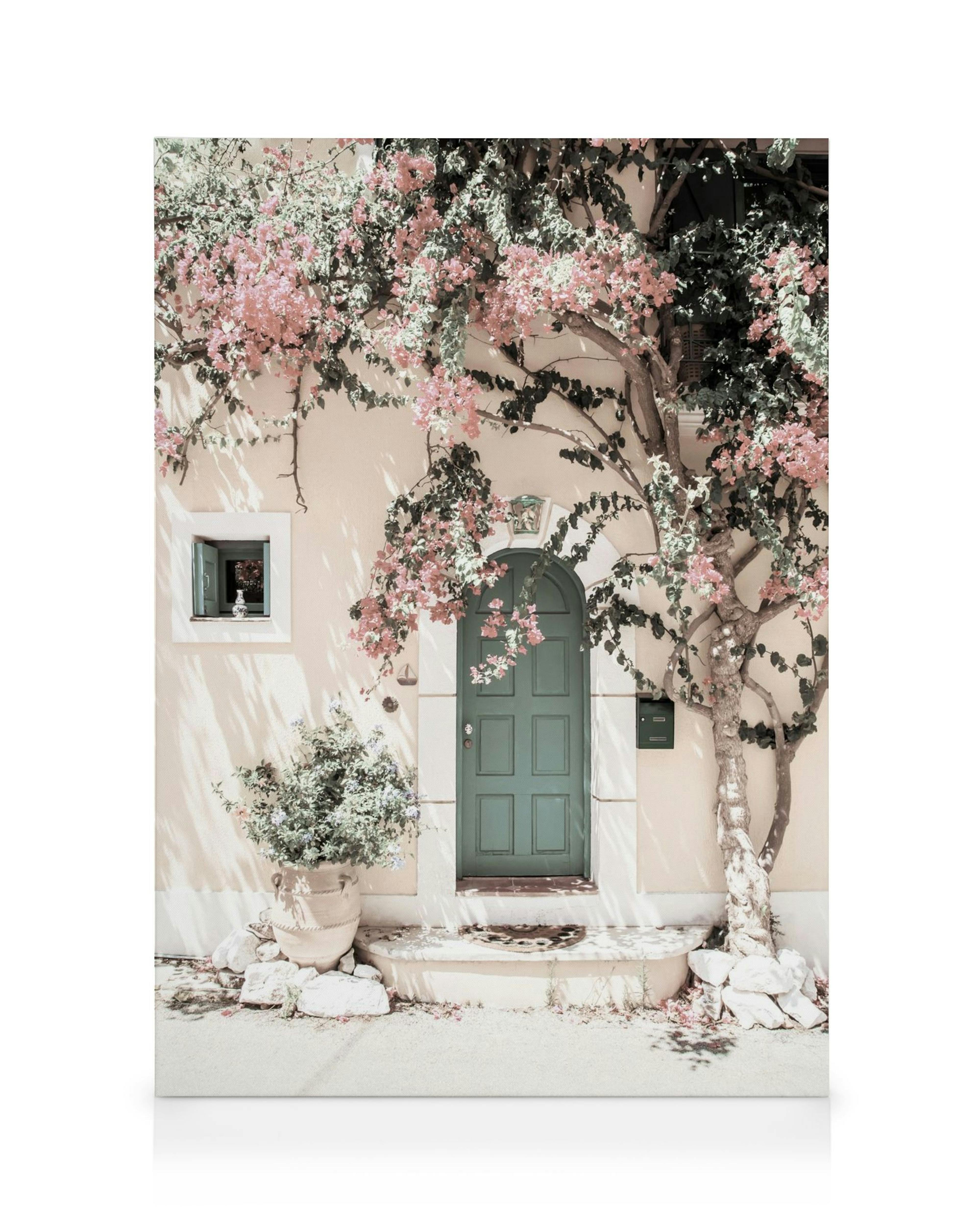 Lienzo de una puerta verde azulada arqueada, ventana, y buganvillas rosadas en una pared color crema.