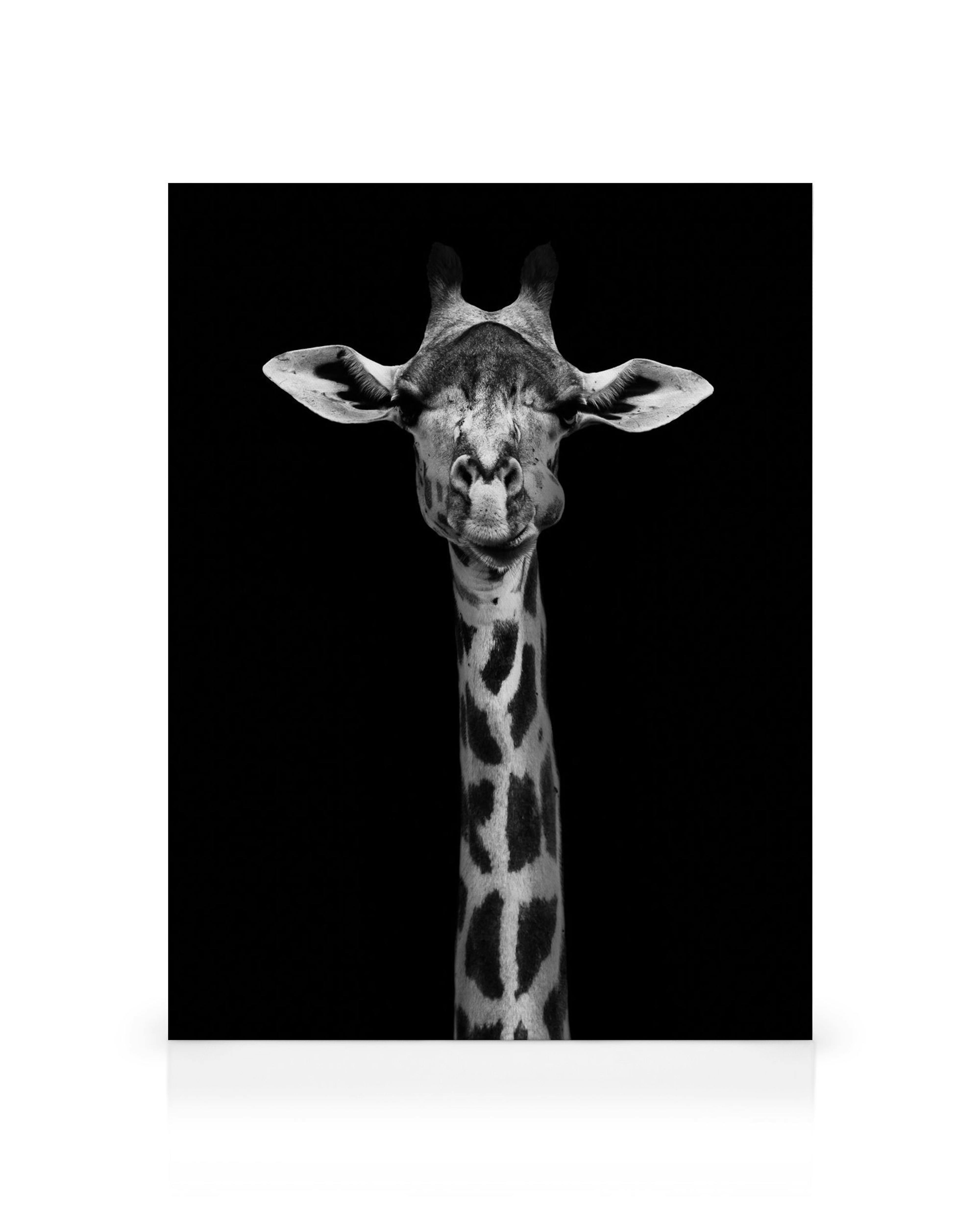 Product image: 1
