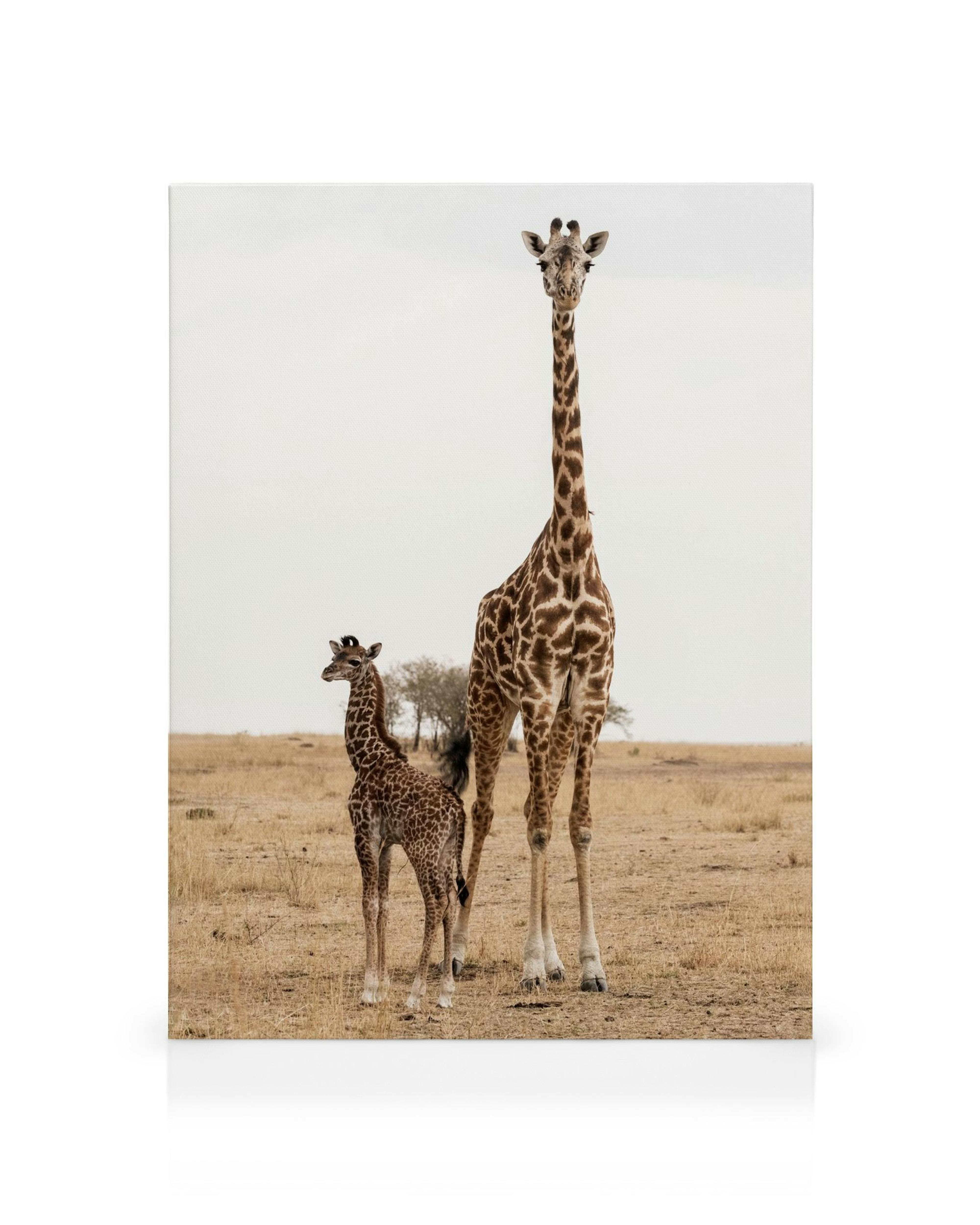 Product image: 1