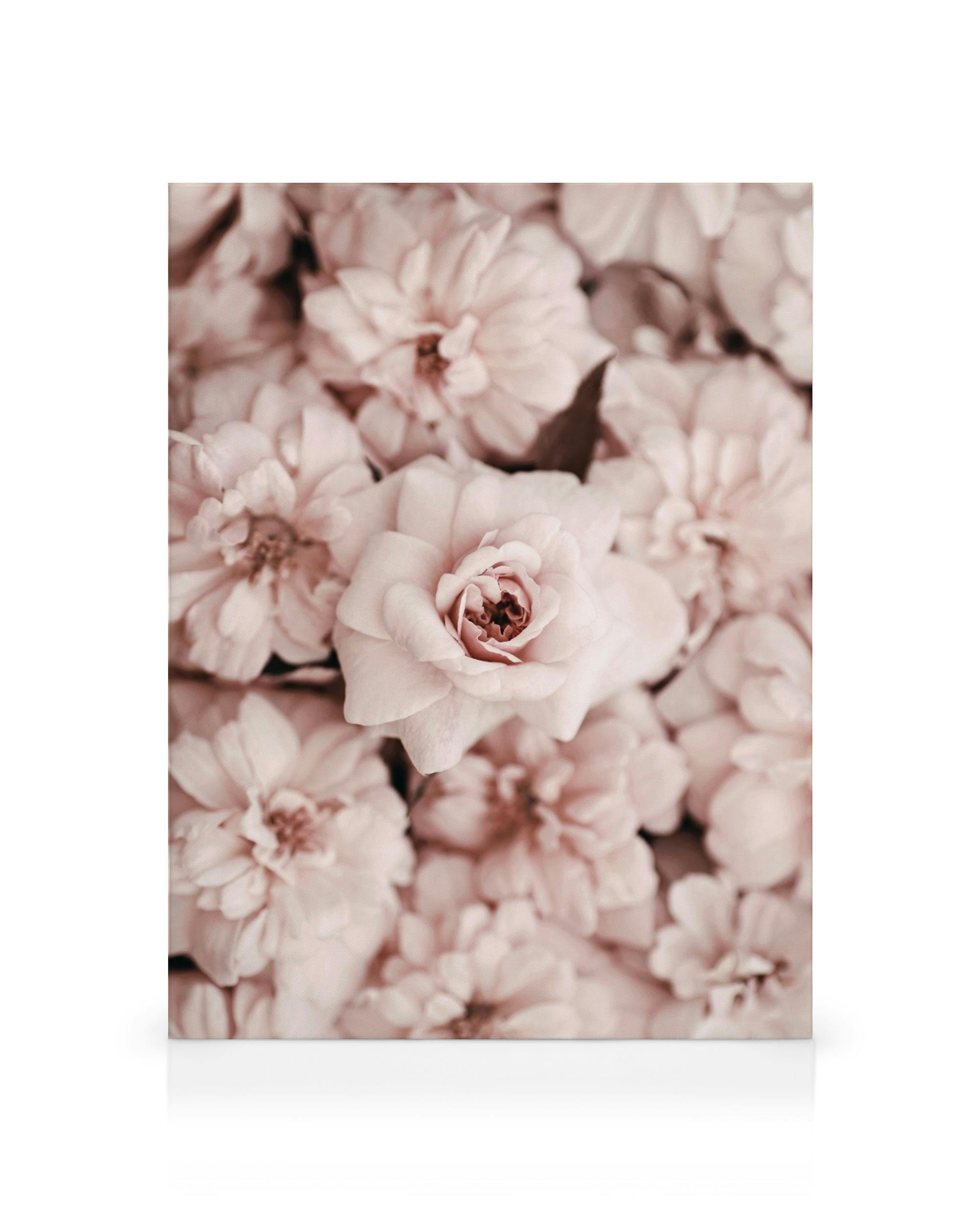 Product image: 1
