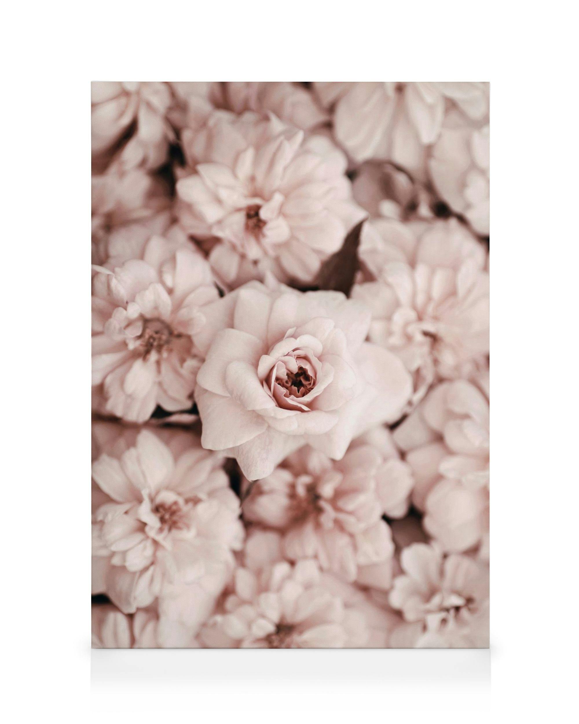 Canvas Prints - Bed Of Flowers Canvas print (30x40 cm) - Poster Store