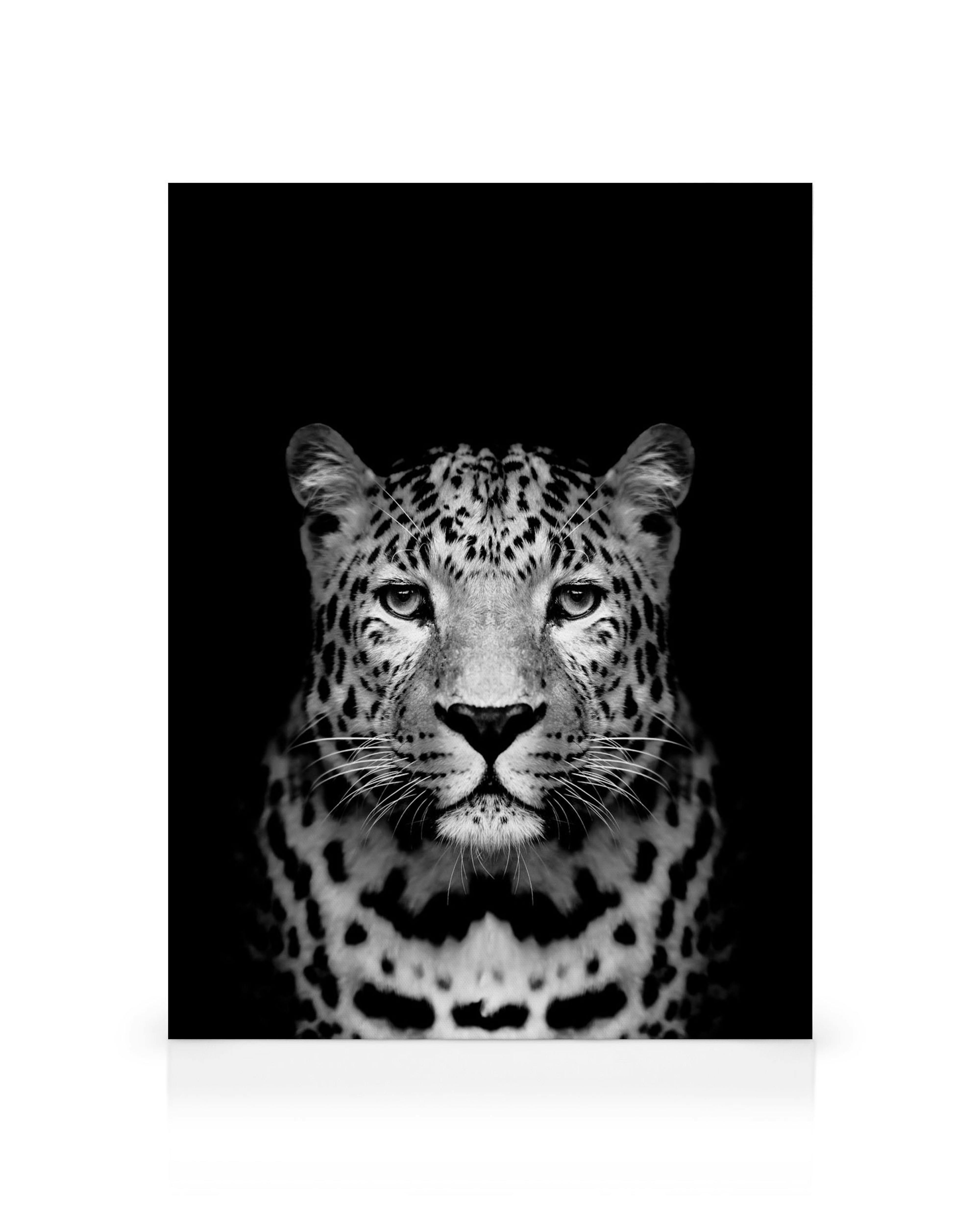 Product image: 1