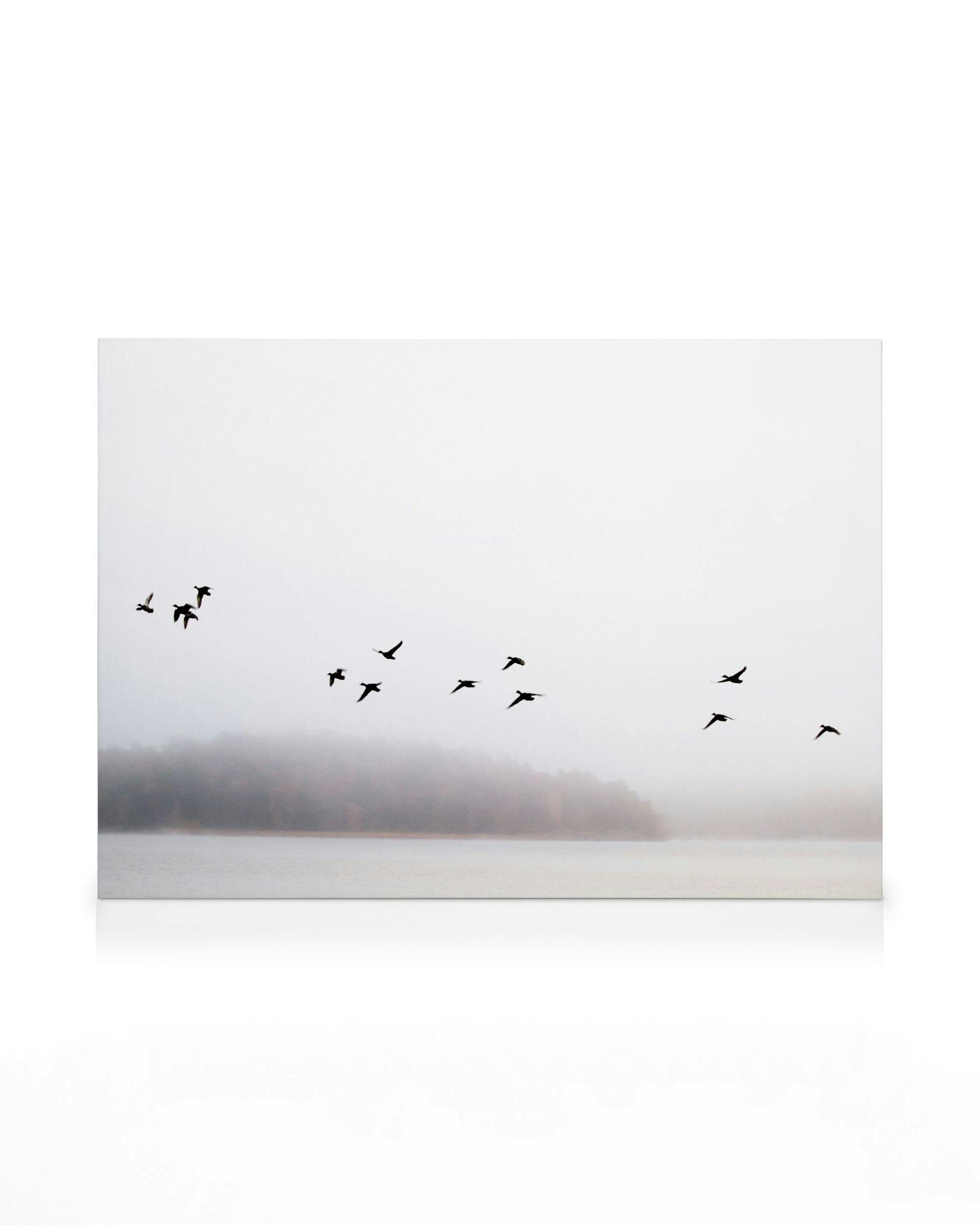 Vogels Boven Meer Canvas (50x70 cm) - Poster Store