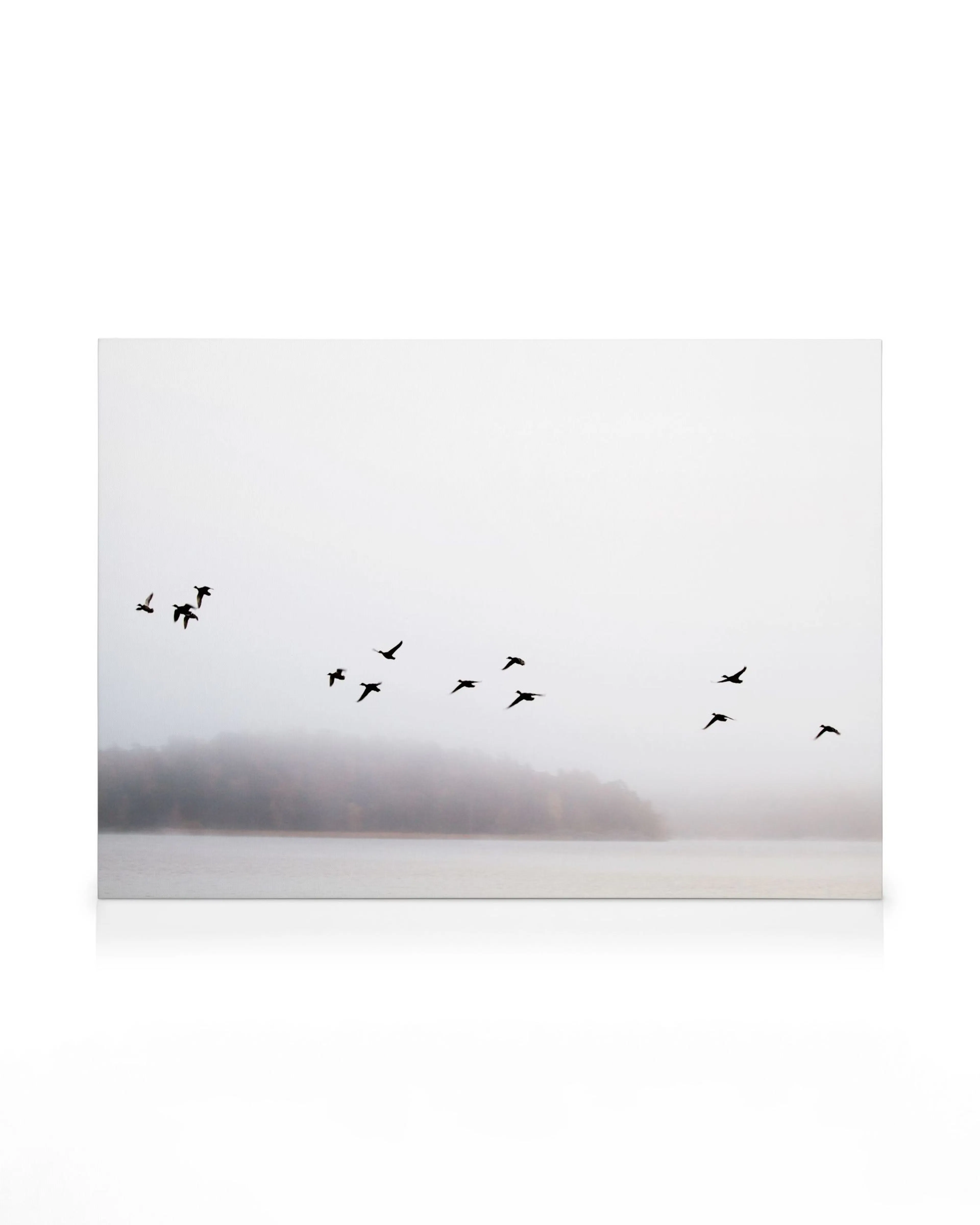 Birds Over Lake Canvas print 0