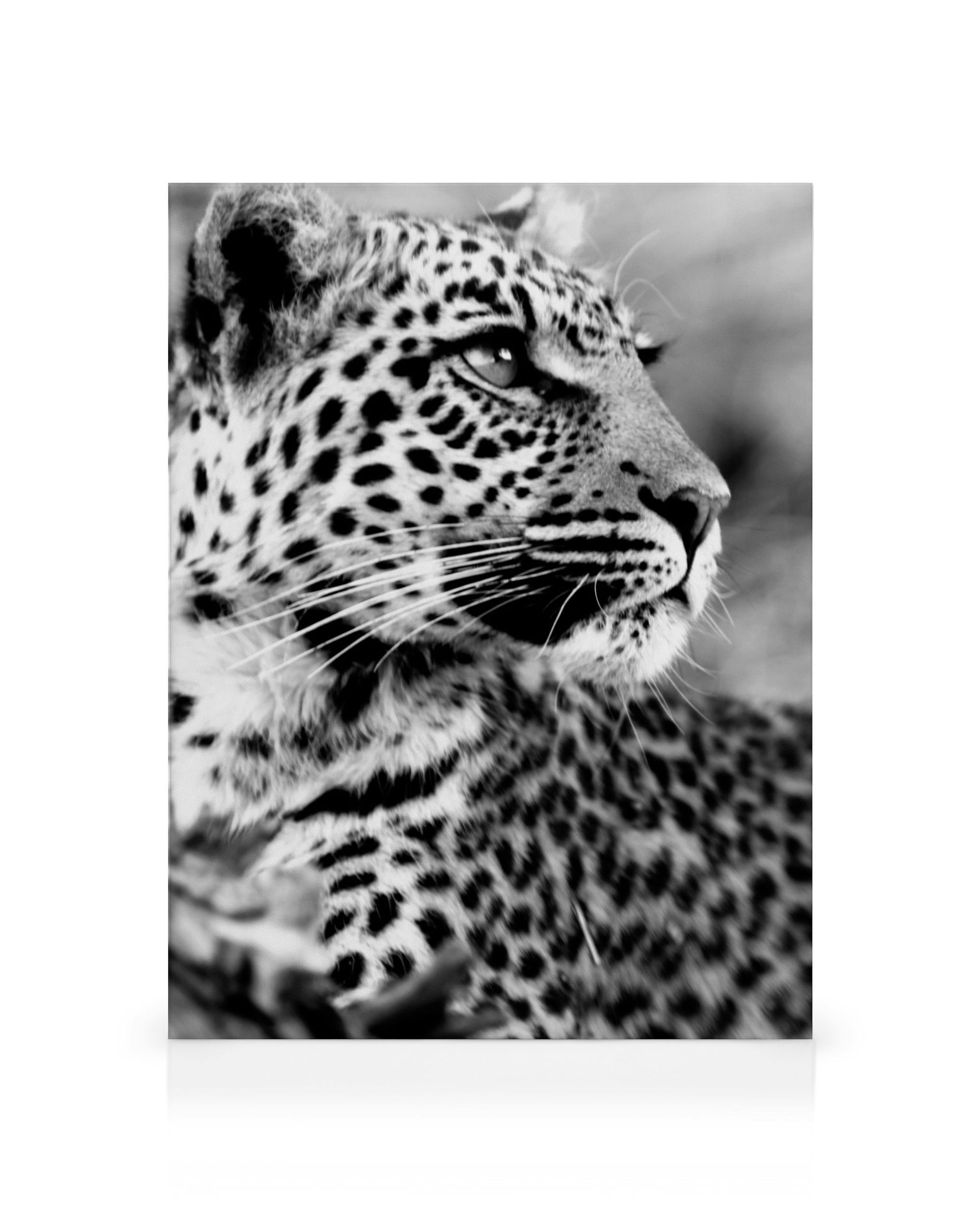 Product image: 1